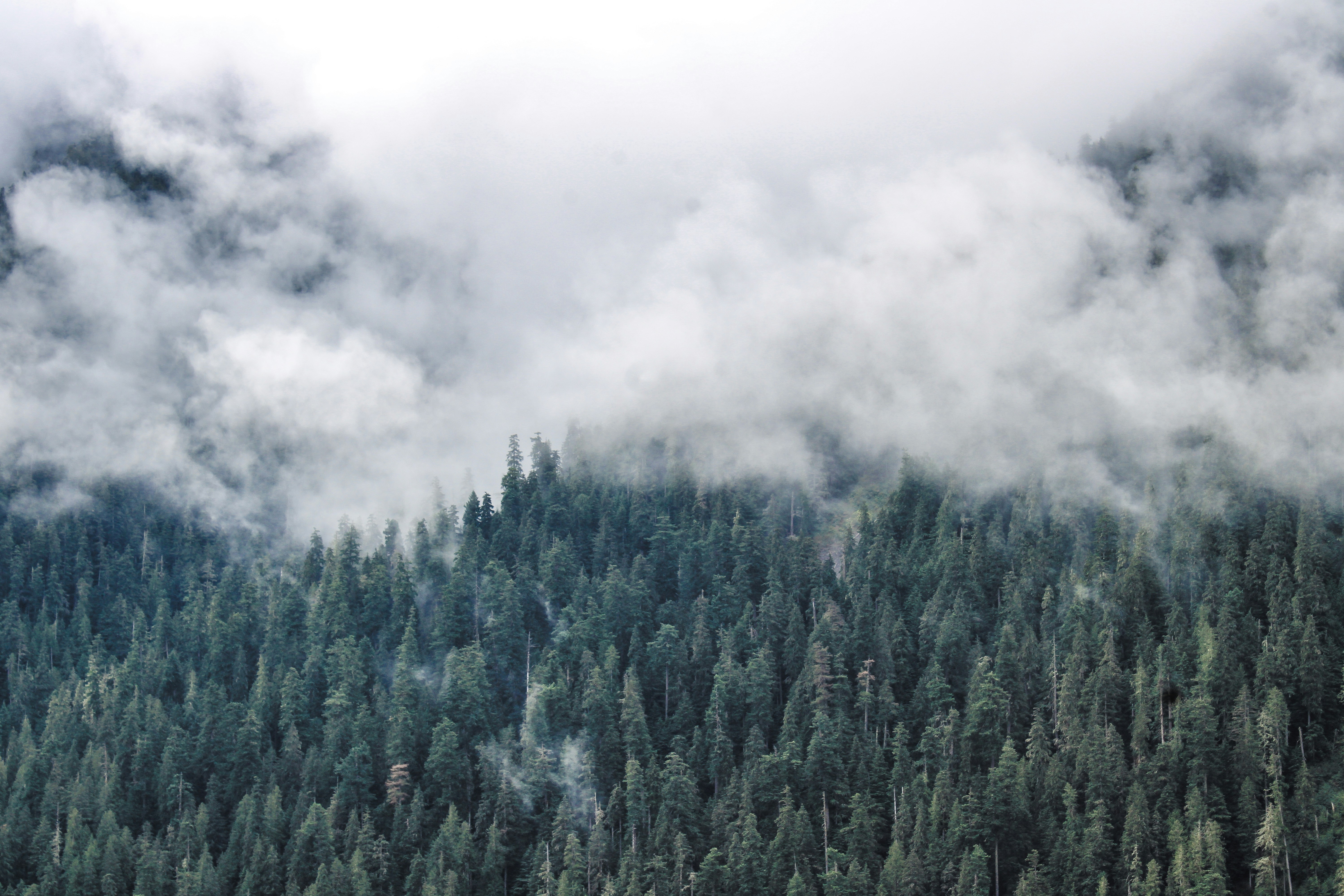 Photo by prphotography262