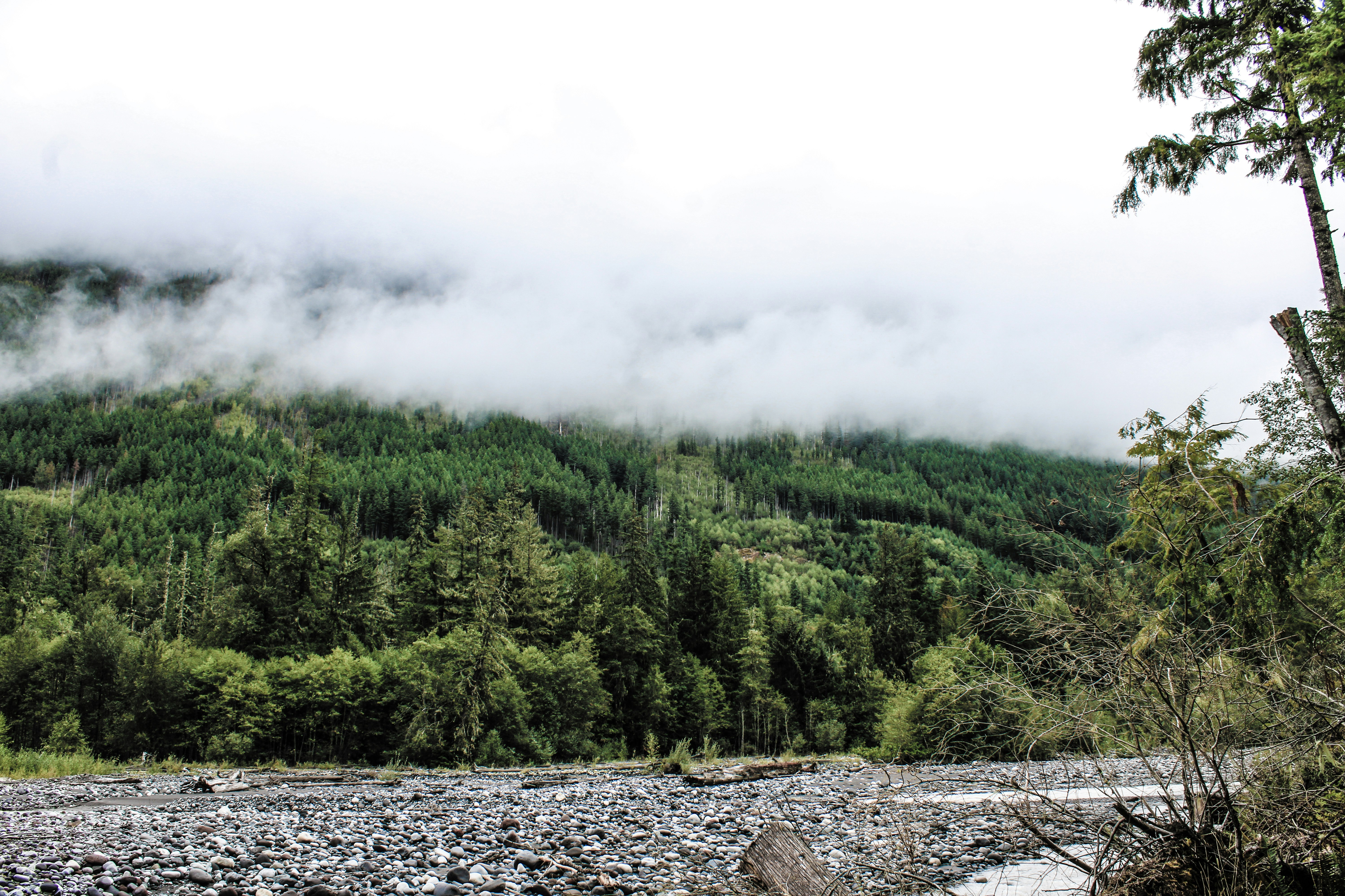 Photo by prphotography262