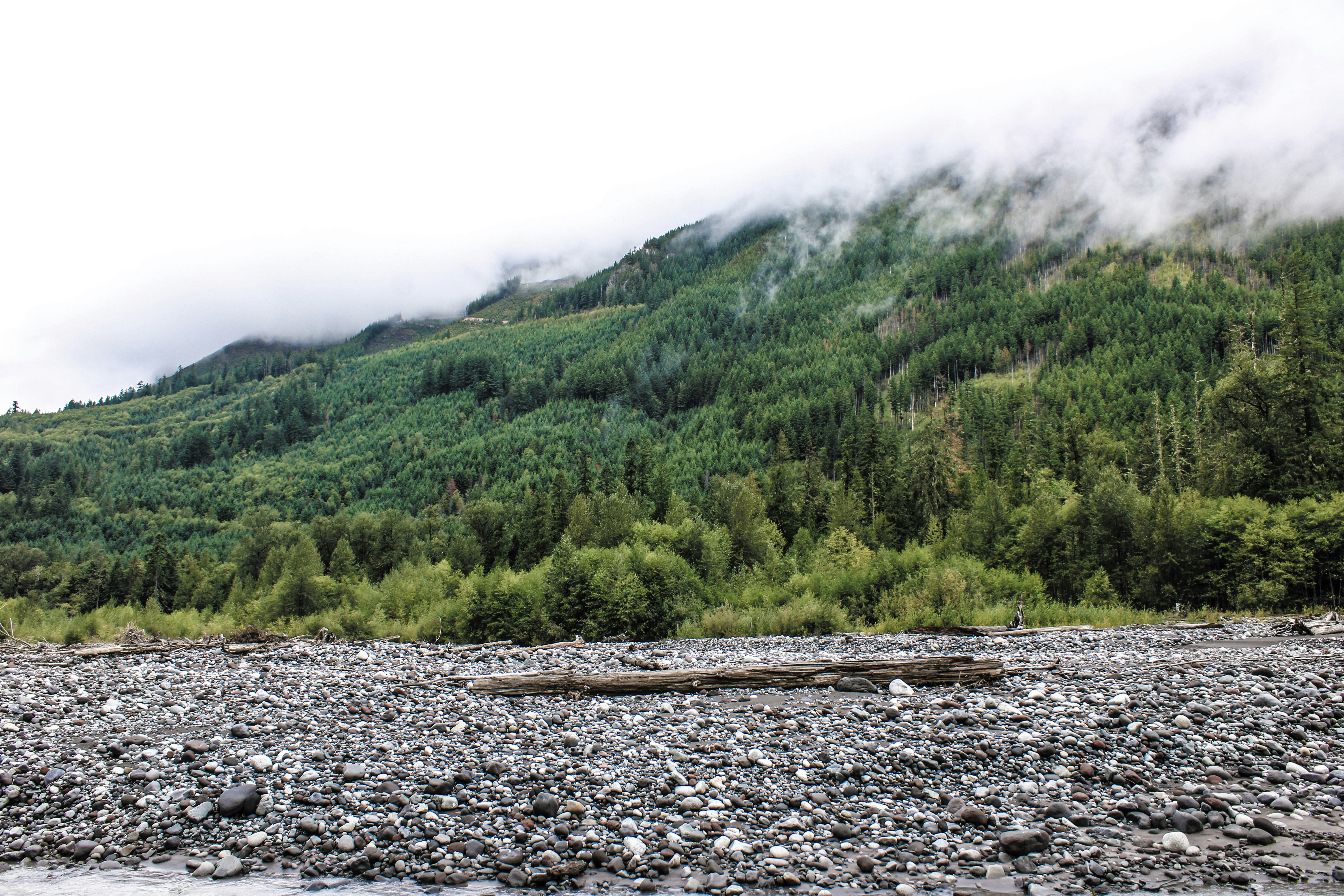 Photo by prphotography262