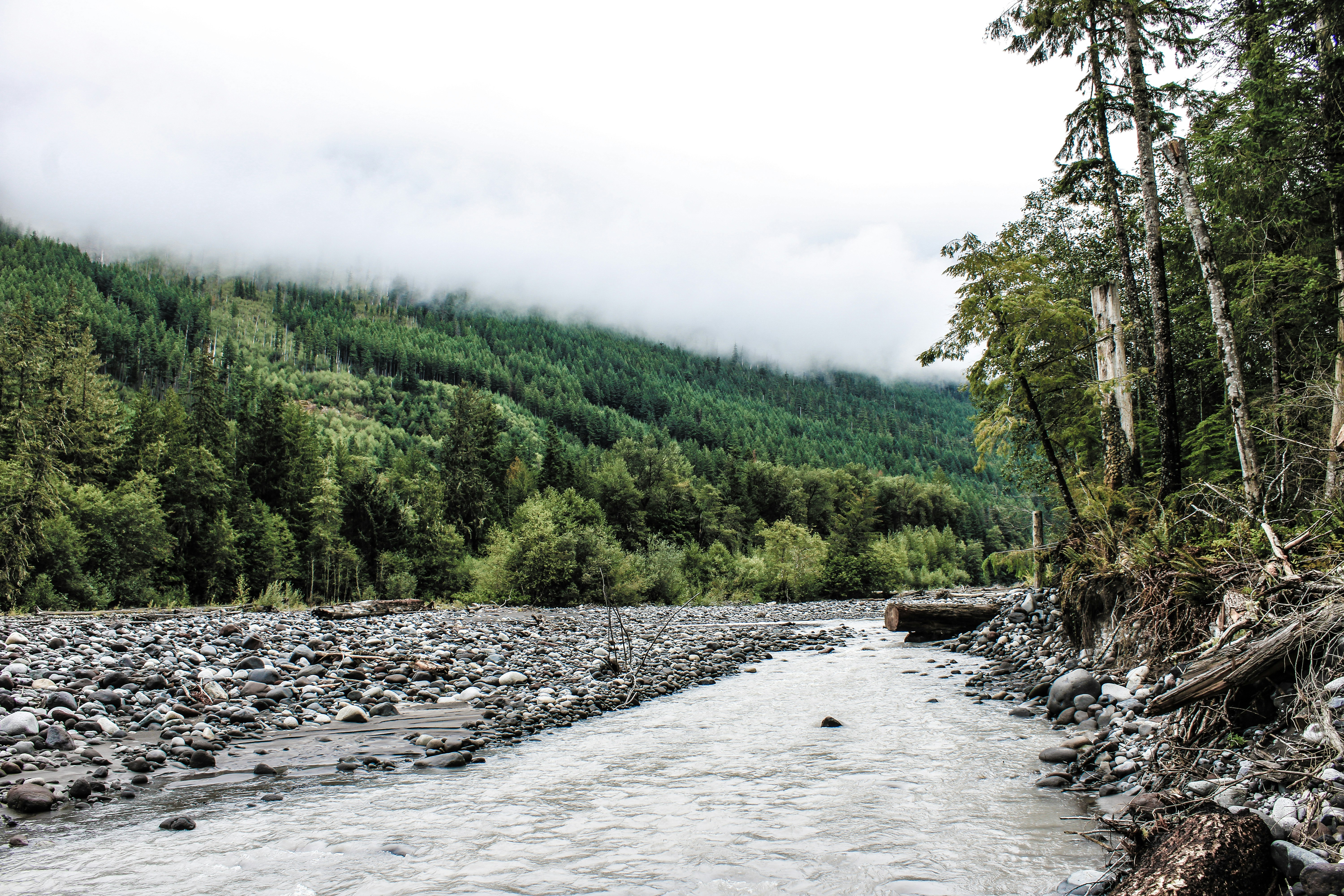 Photo by prphotography262