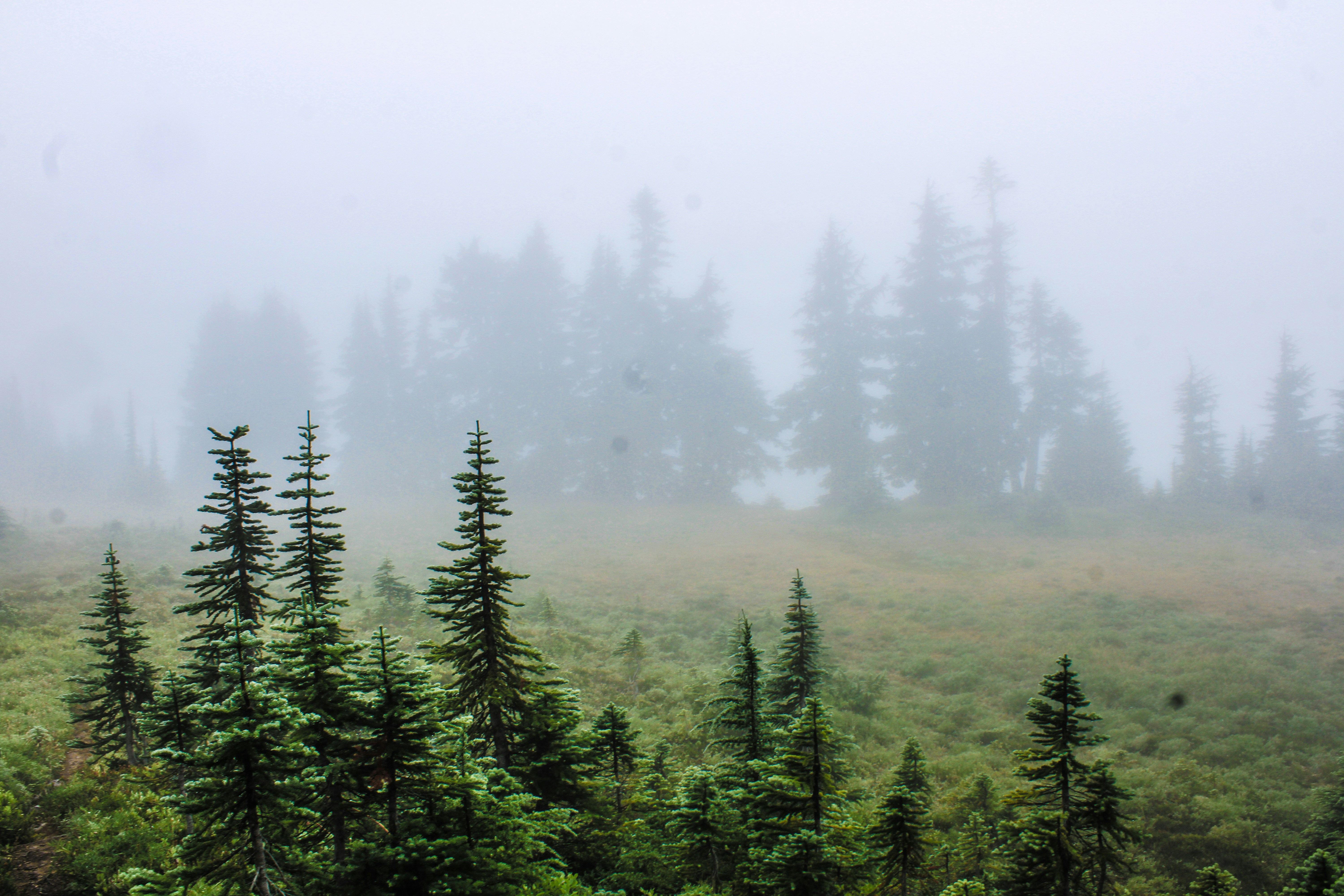 Photo by prphotography262