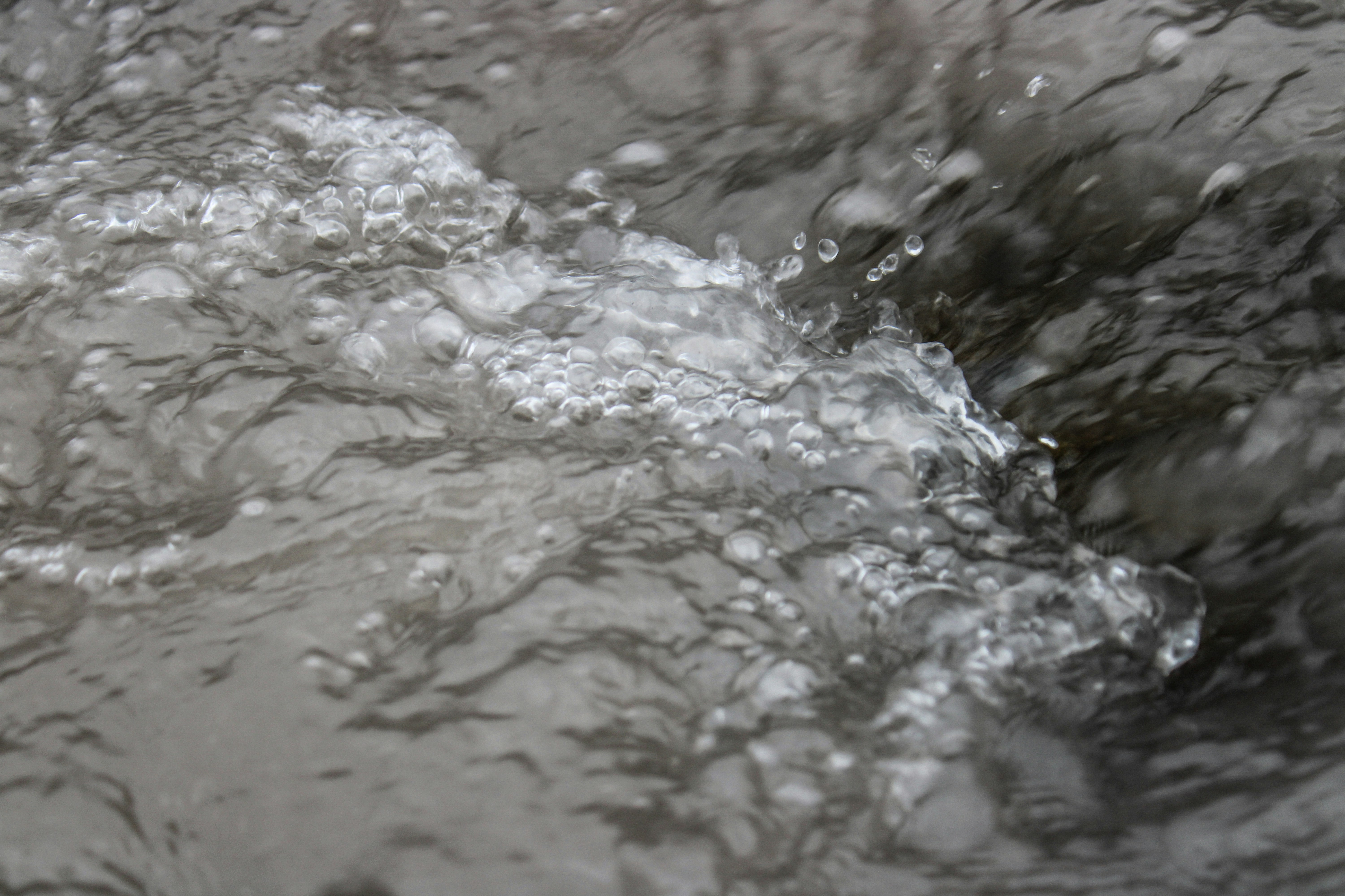 Photo by prphotography262