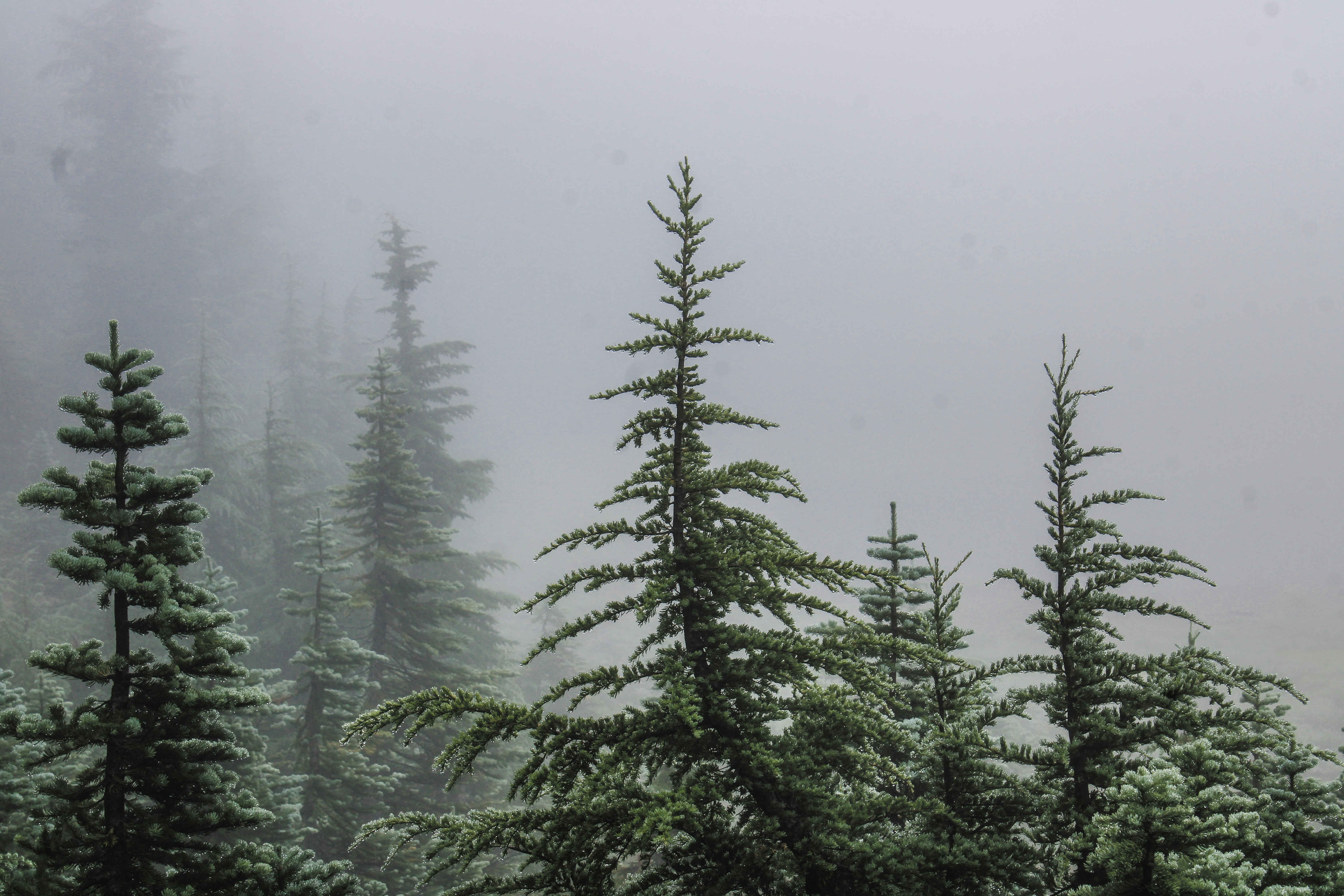 Photo by prphotography262