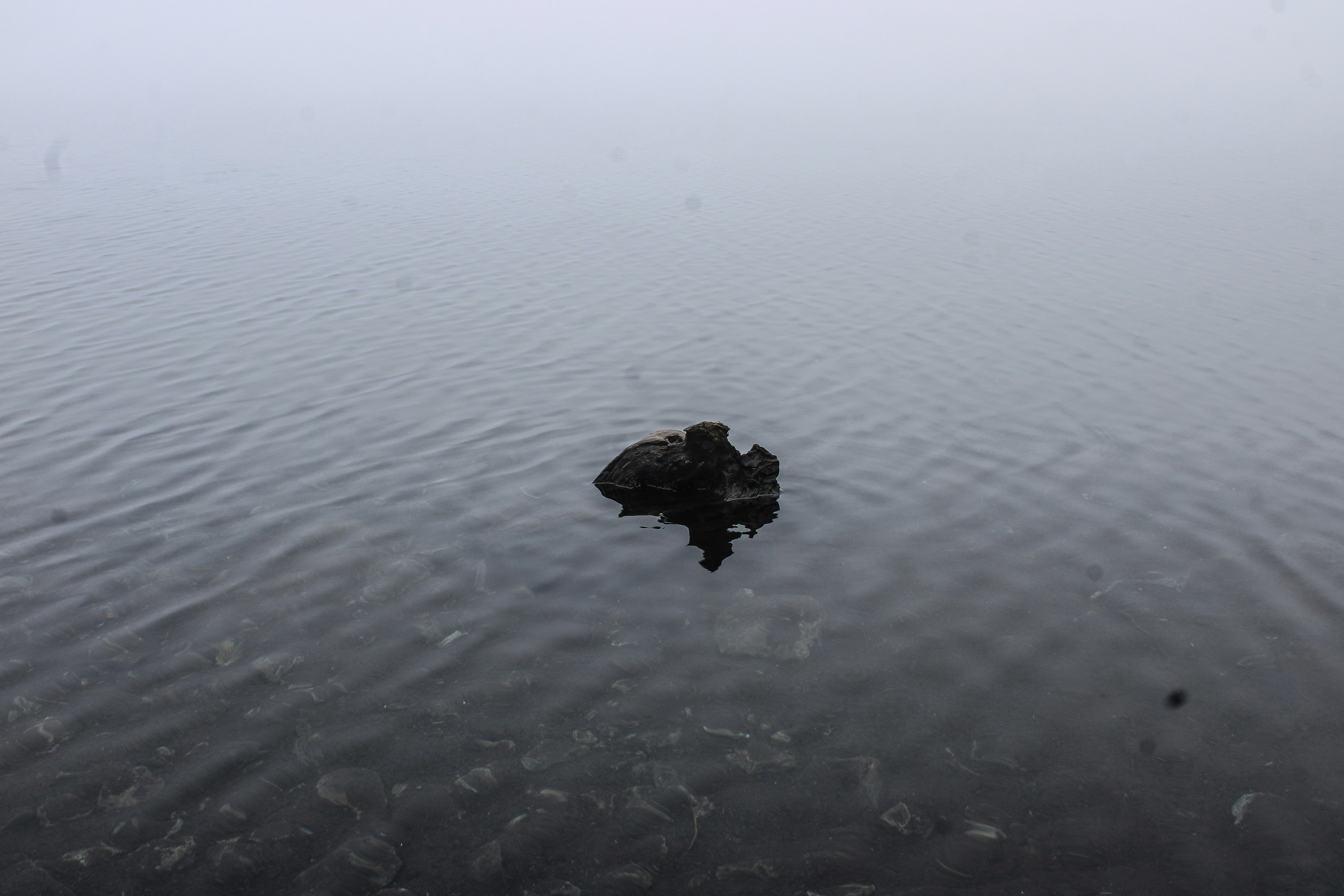 Photo by prphotography262