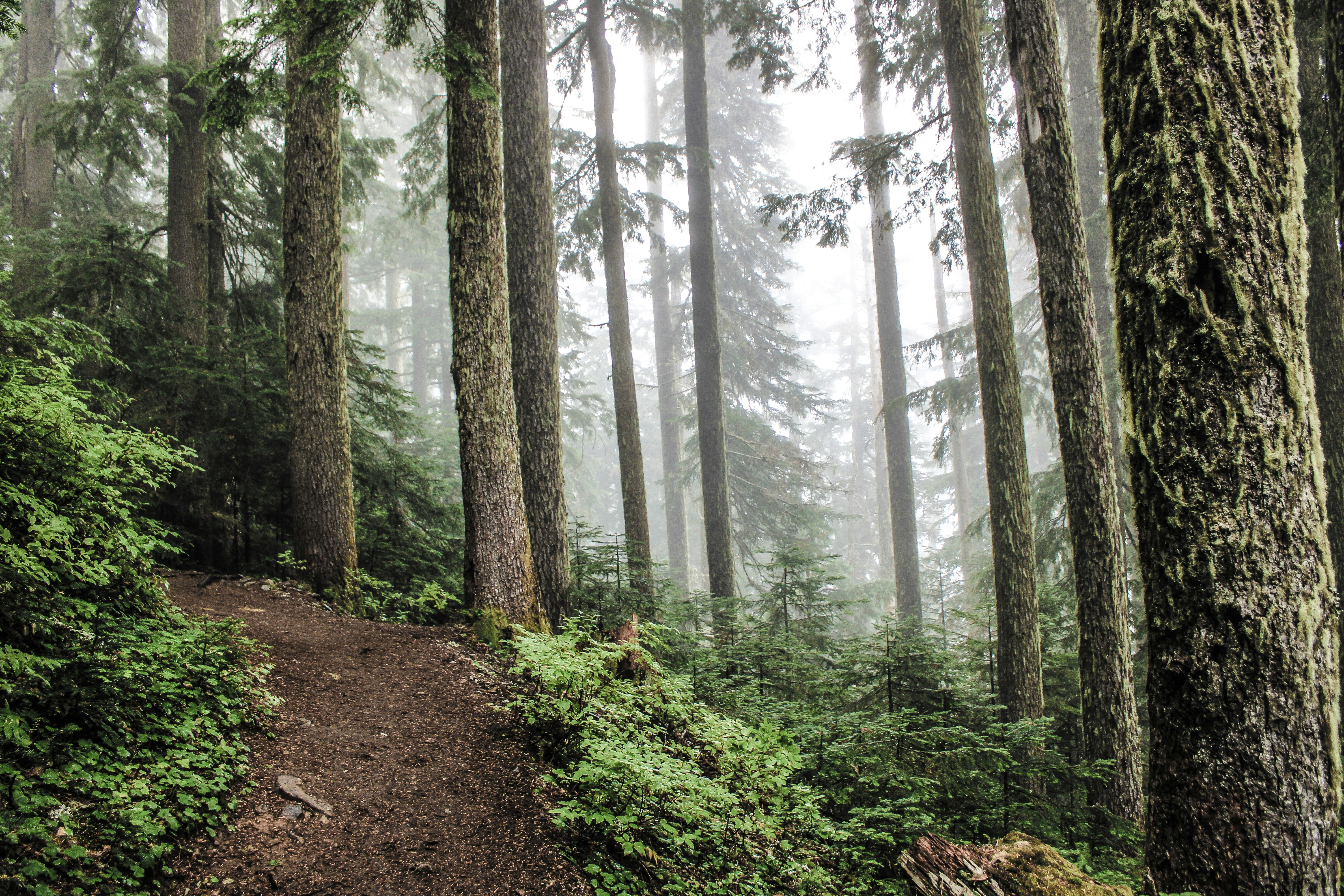 Photo by prphotography262