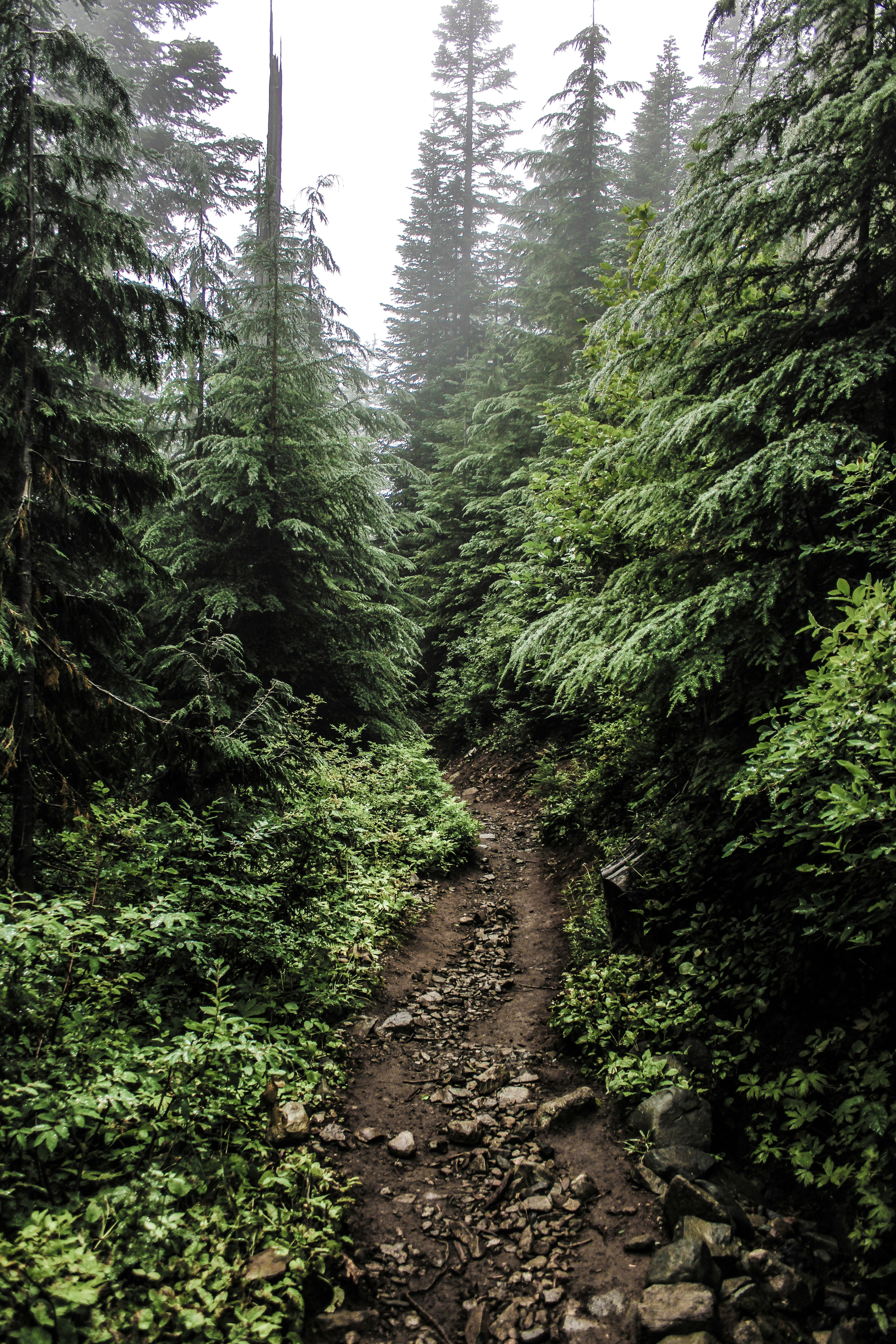 Photo by prphotography262