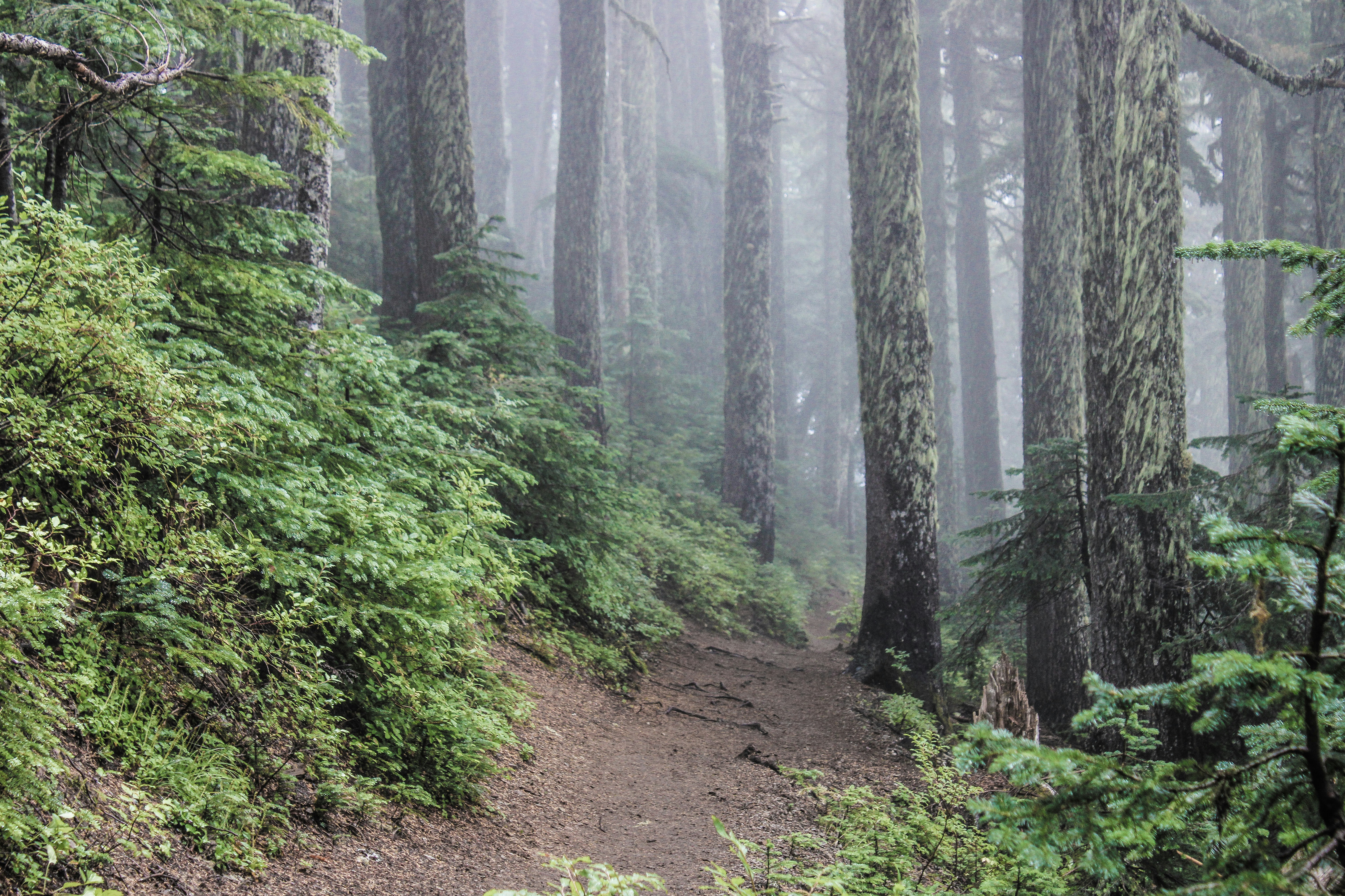 Photo by prphotography262