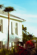 A bright and sunny scene featuring the side of a white wooden house with large, light-colored windows. The exterior is complemented by several tall palm trees and lush green foliage. Vibrant red flowers grow in the foreground along a white picket fence, adding a burst of color. The sky above is clear and blue, enhancing the tropical and serene atmosphere.