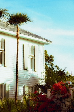A bright and sunny scene featuring the side of a white wooden house with large, light-colored windows. The exterior is complemented by several tall palm trees and lush green foliage. Vibrant red flowers grow in the foreground along a white picket fence, adding a burst of color. The sky above is clear and blue, enhancing the tropical and serene atmosphere.