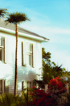 A fresh coat of bright paint being applied to a house exterior on a sunny day.