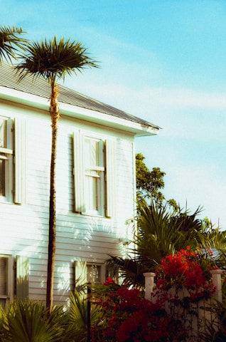 A skilled painter applying a fresh coat of paint to a sunny Florida home's exterior, with palm trees in the background.