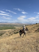 A horseback rider crossing a scenic mountain path with panoramic views.
