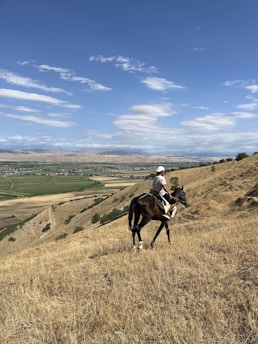 A rider on horseback overlooking a sprawling luxury property nestled in the foothills.