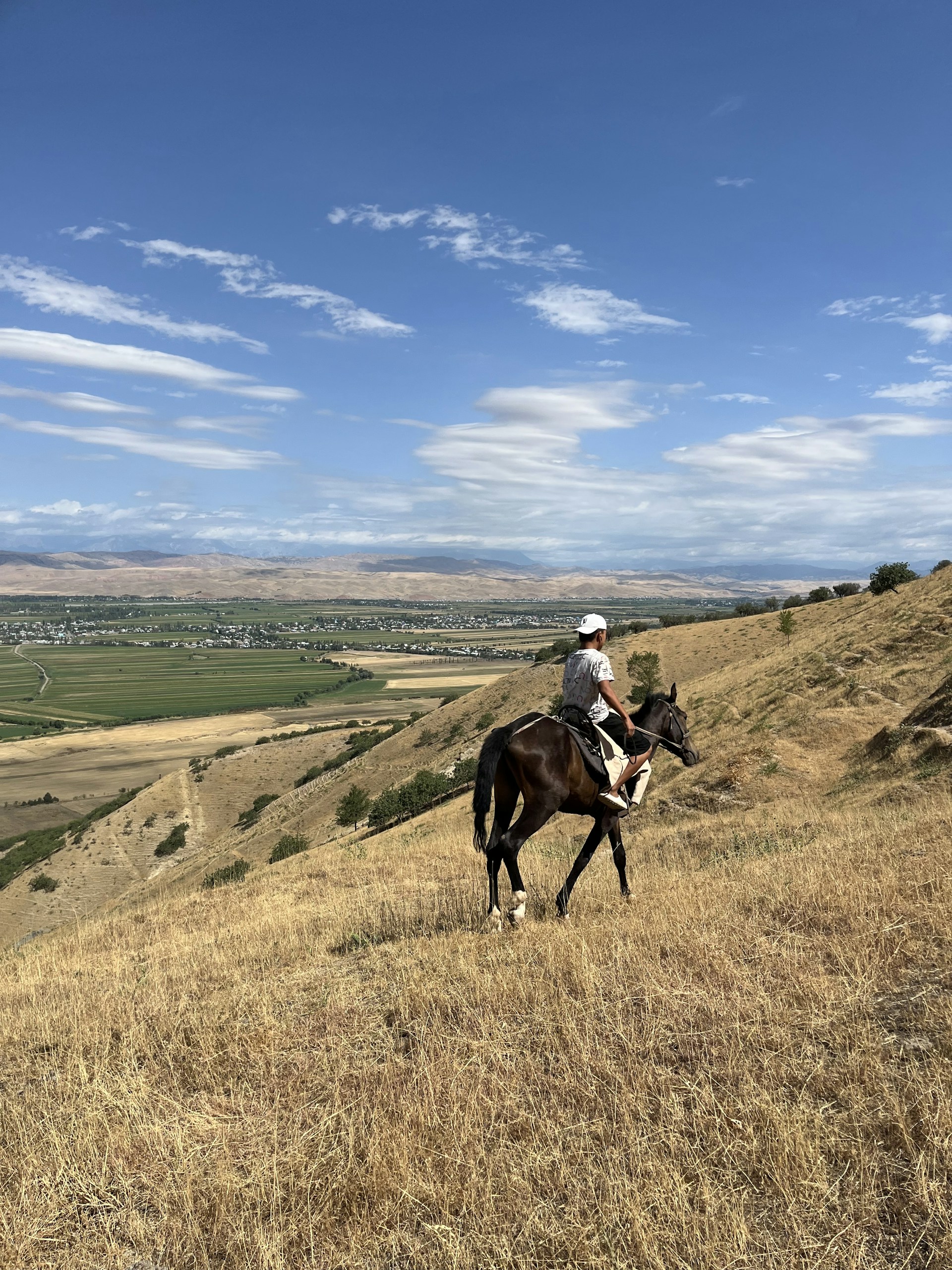 black and white bed linen
