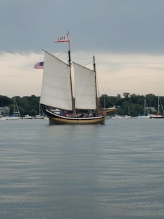 A large sailboat with two prominent sails glides across a calm body of water. Several people are visible on the deck, and the boat features a small American flag alongside another flag. In the background, there are numerous smaller boats anchored near a tree-lined shore under a cloudy sky.