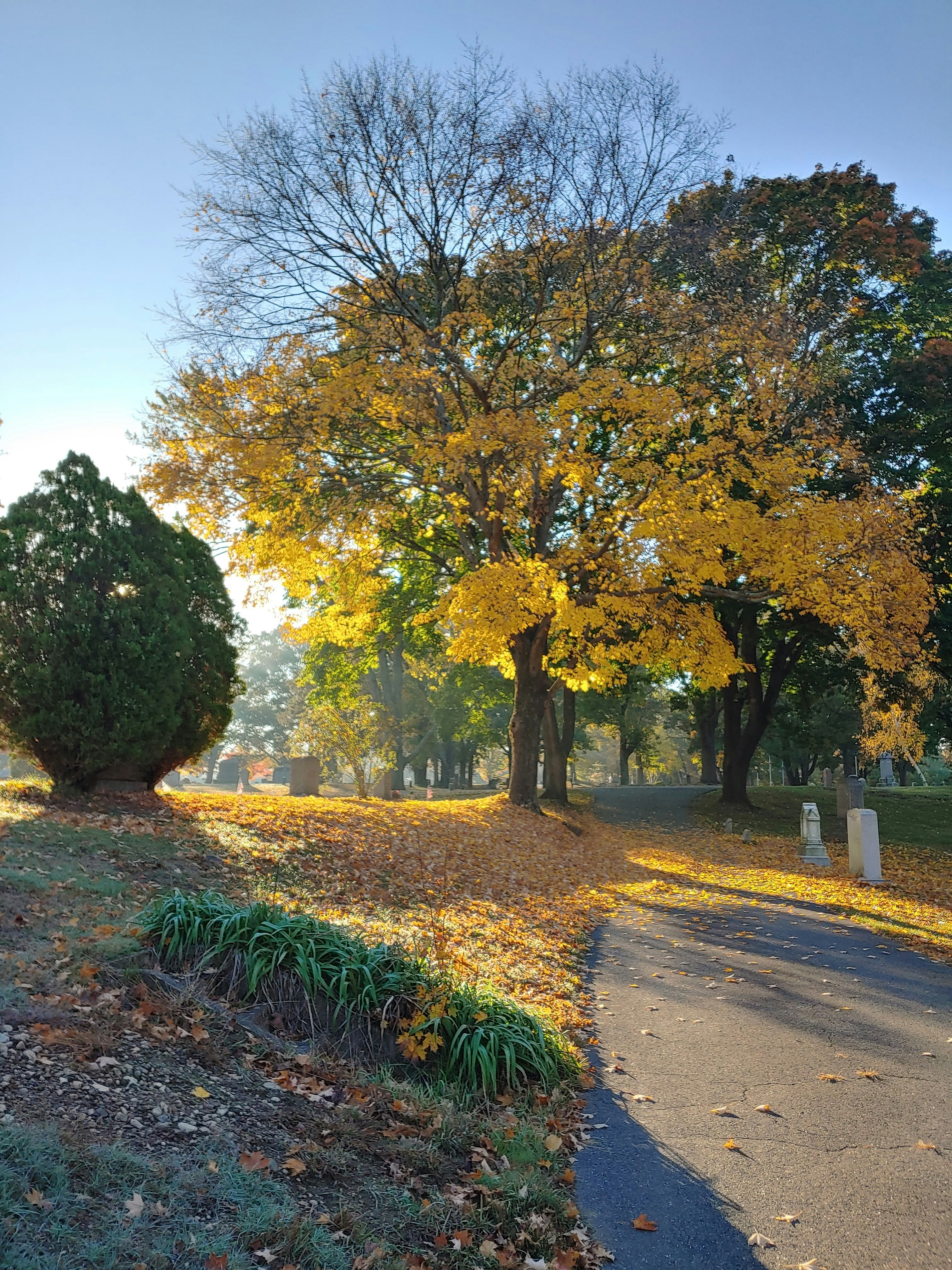 Photo by lauramichaelski23