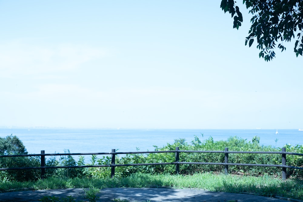 a bench sitting on top of a lush green hillside