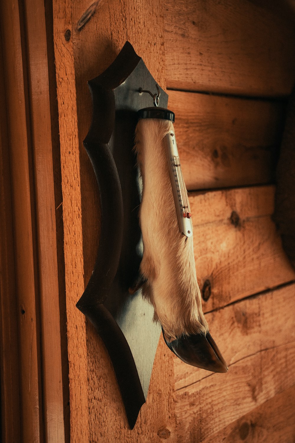 La cola de un perro colgando del costado de una pared de madera