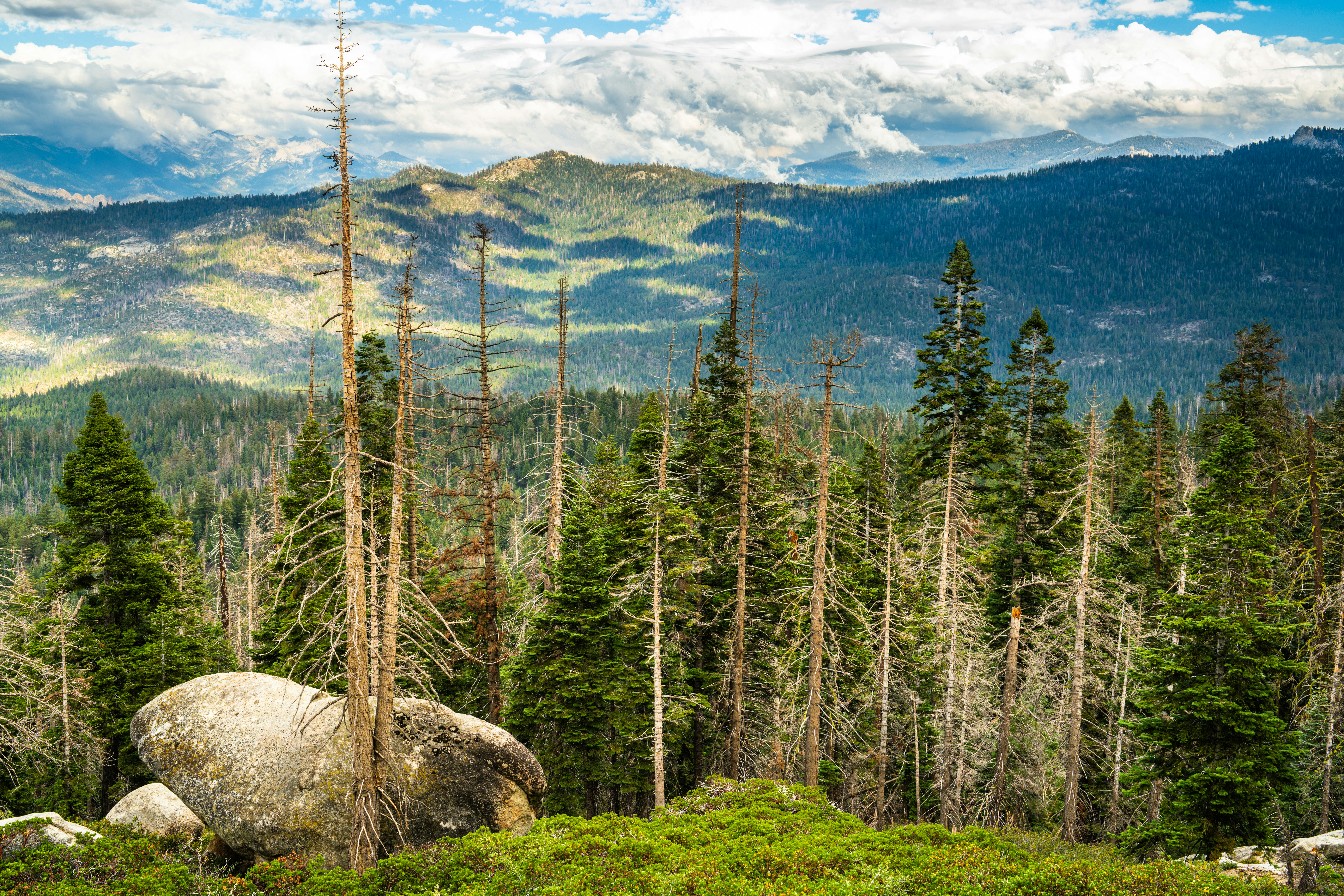 Photo by happy_pixel