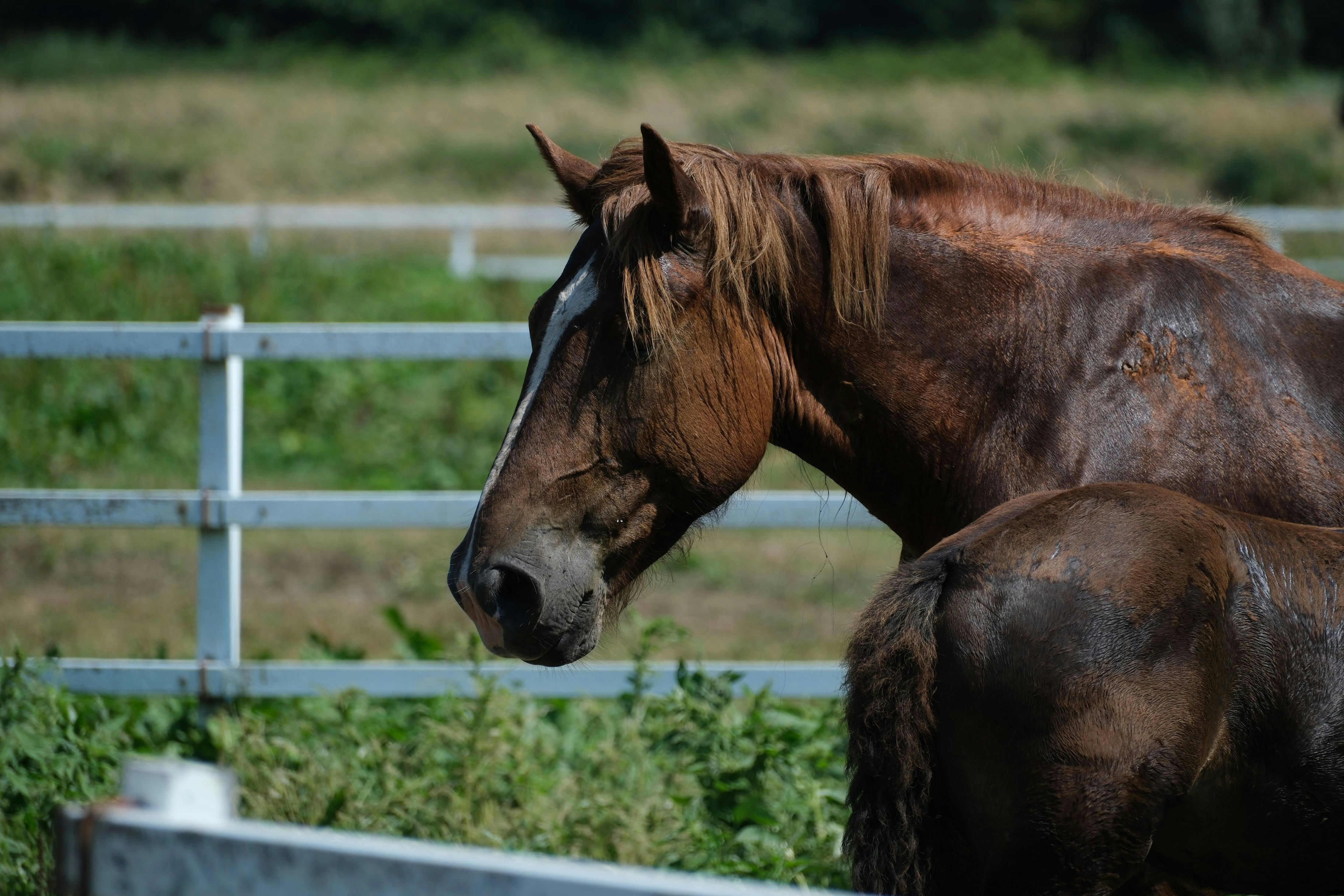 Photo by seiya_maeda