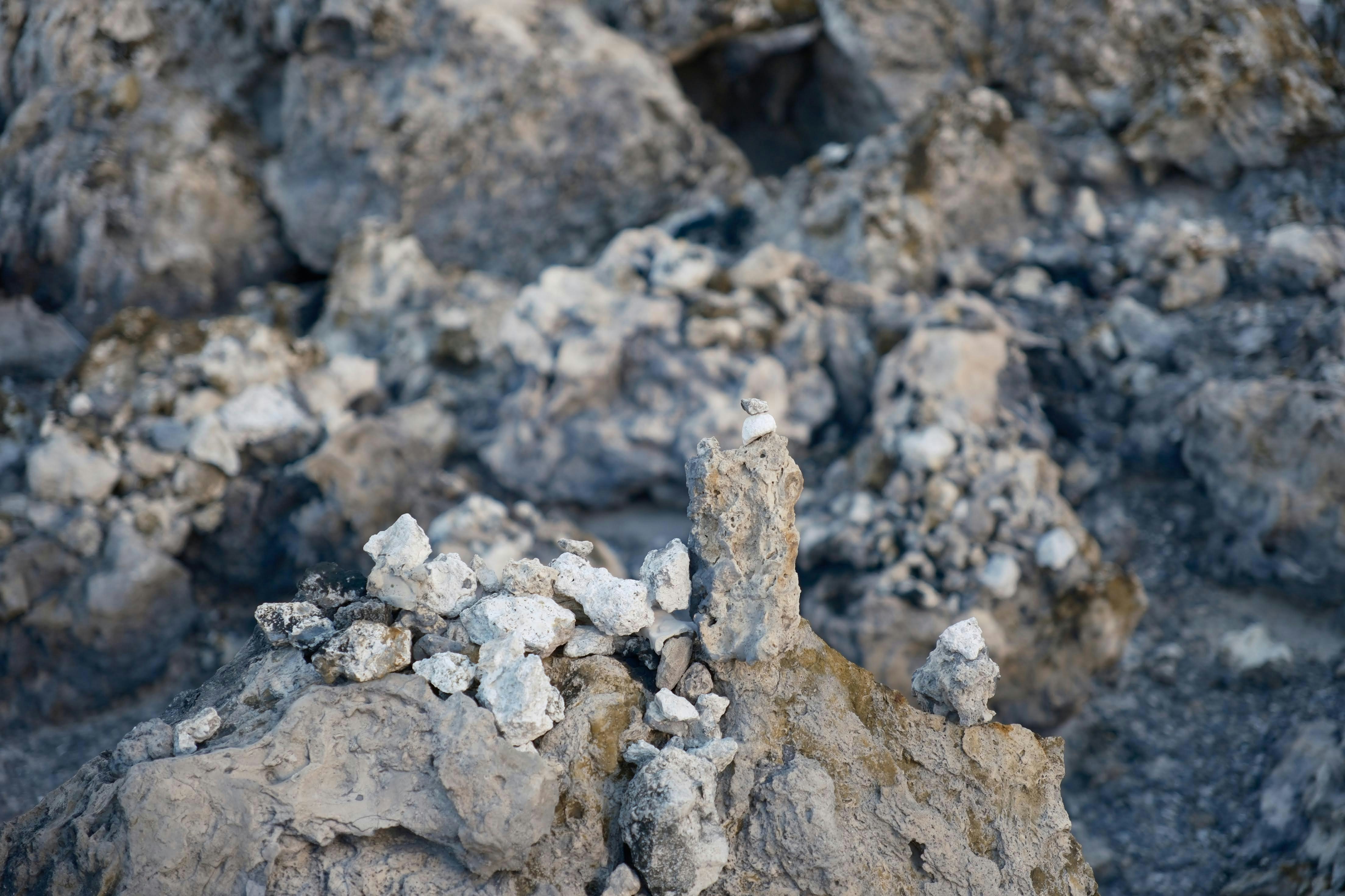 Photo by seiya_maeda