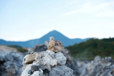 A detailed close-up of controlled explosives set in a rocky mountainous area.