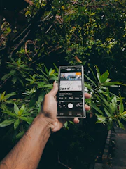 Musical app screen with forest green and parchment accents blending into Cantareira mountain shapes.