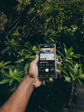 A hand holding a smartphone displaying a music player interface, surrounded by lush green leaves and branches in a natural setting. The screen shows a song title and music controls.