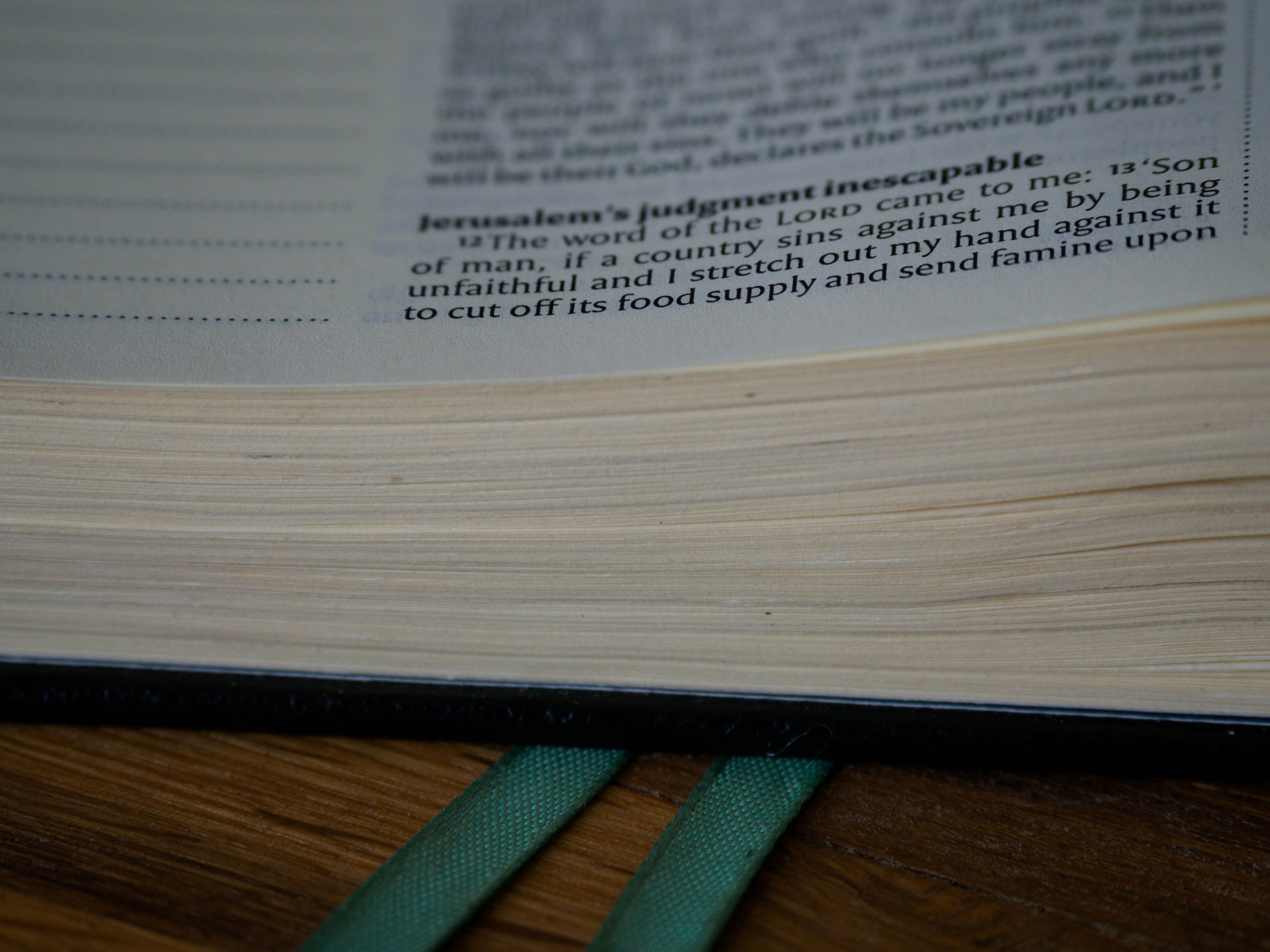 Photo by brett_jordan