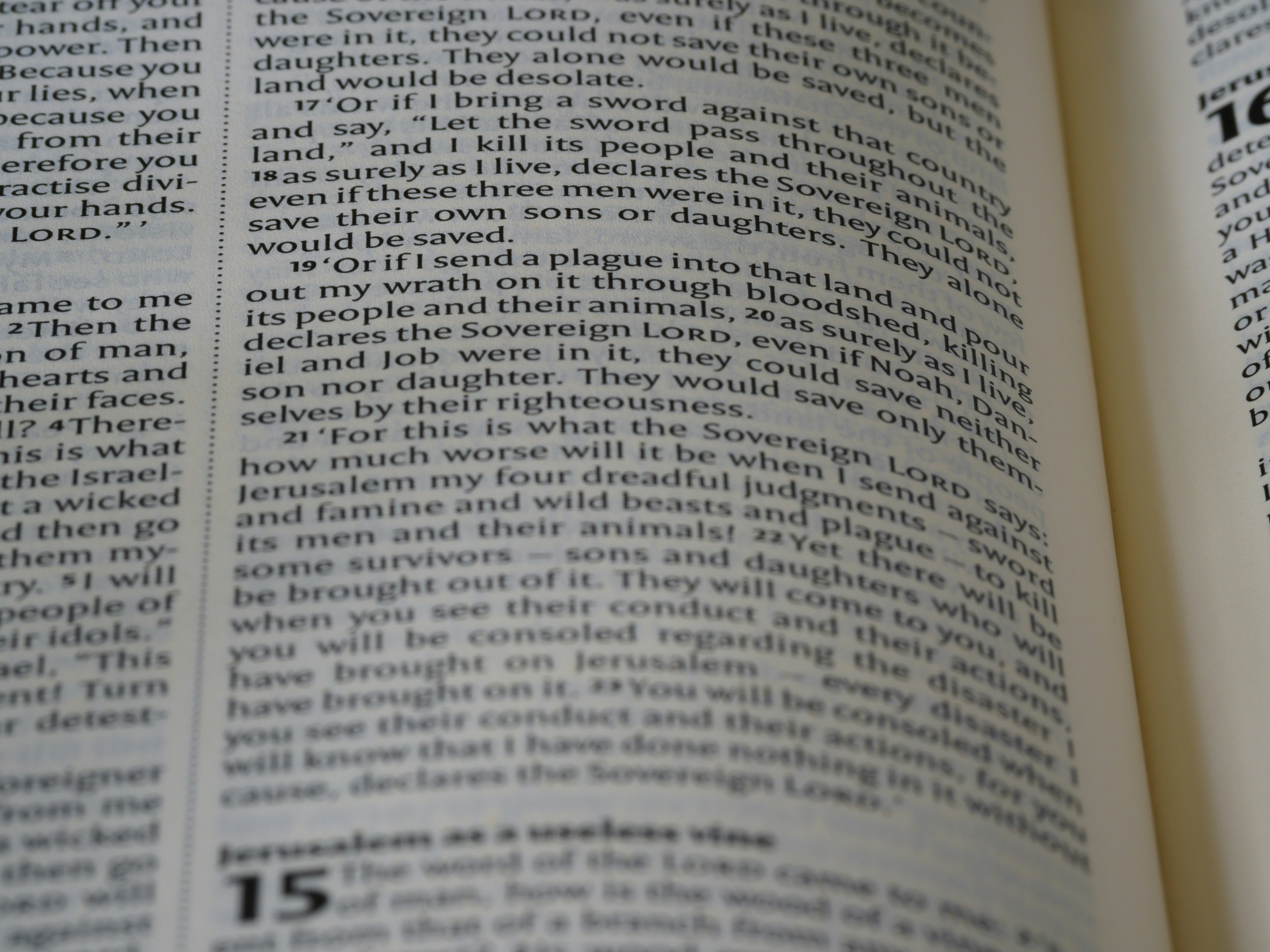 Photo by brett_jordan