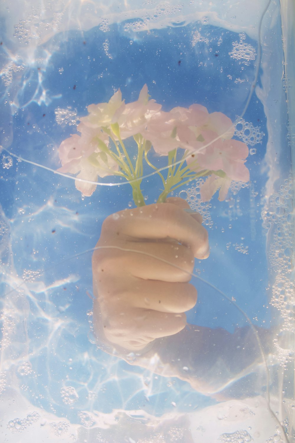 a hand holding a bunch of flowers floating in water