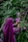 a woman in a purple hijab picking flowers from a tree
