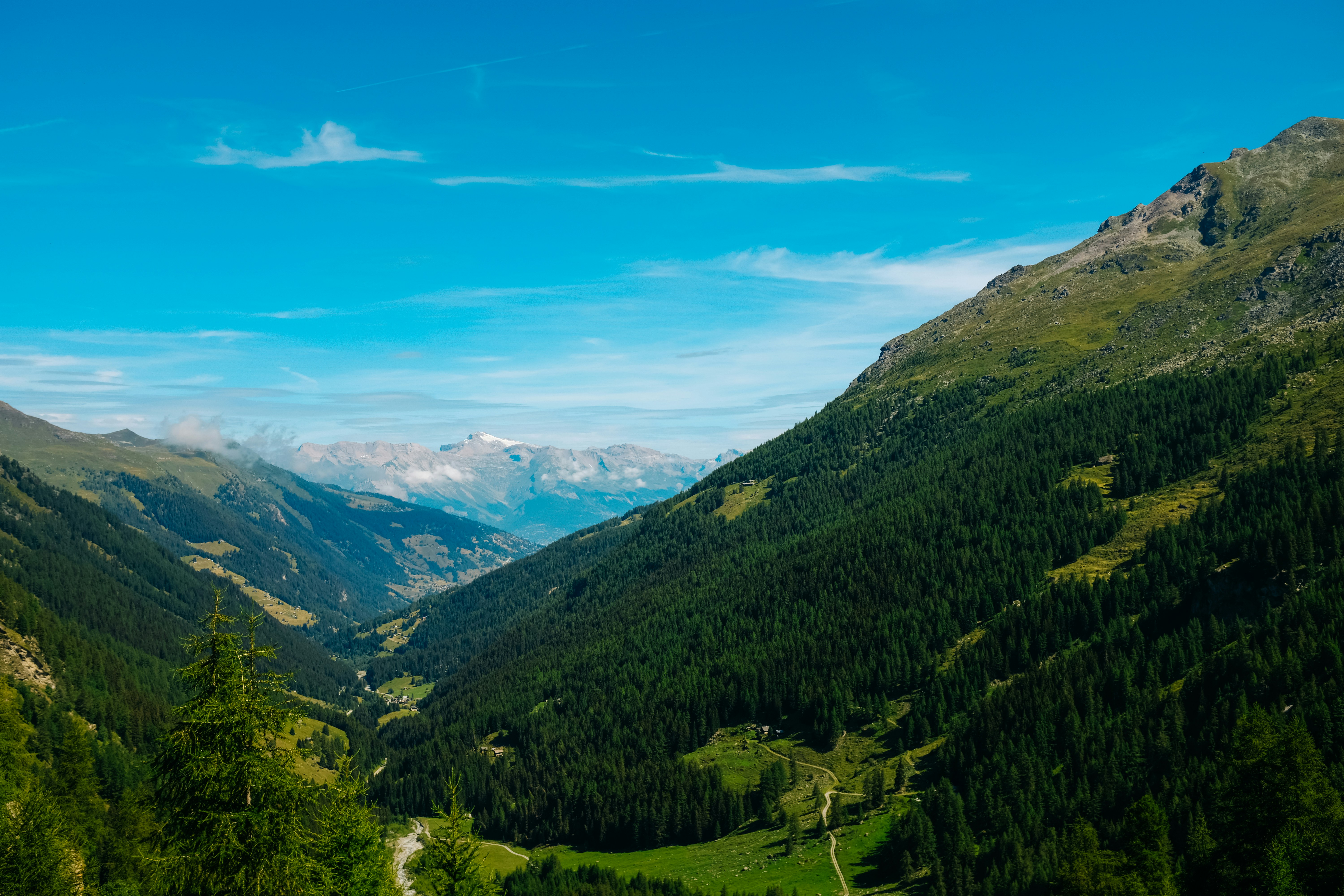 Photo by adrienolichon