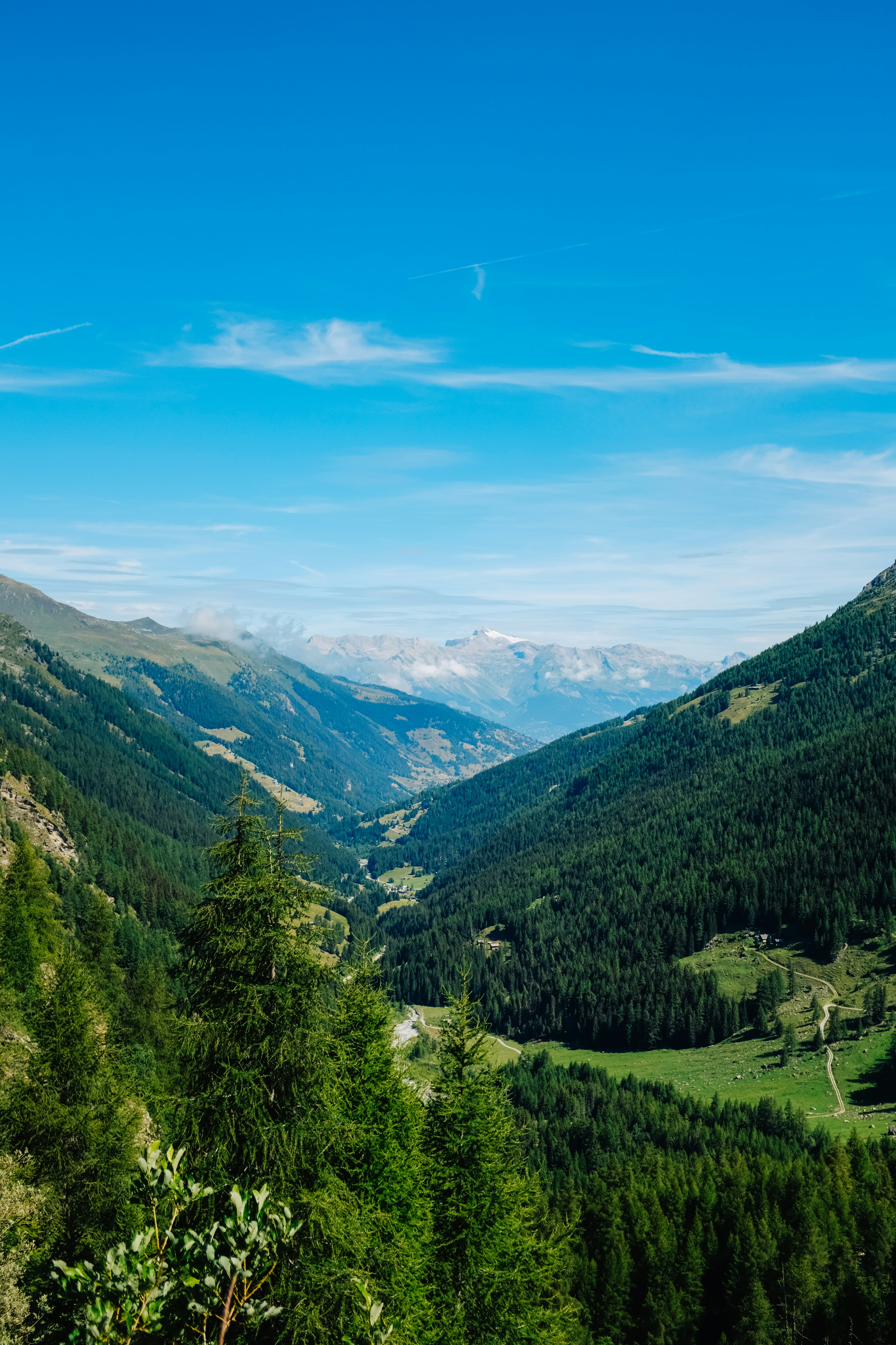 Photo by adrienolichon