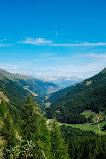 A scenic view of Cavnic with lush green hills.