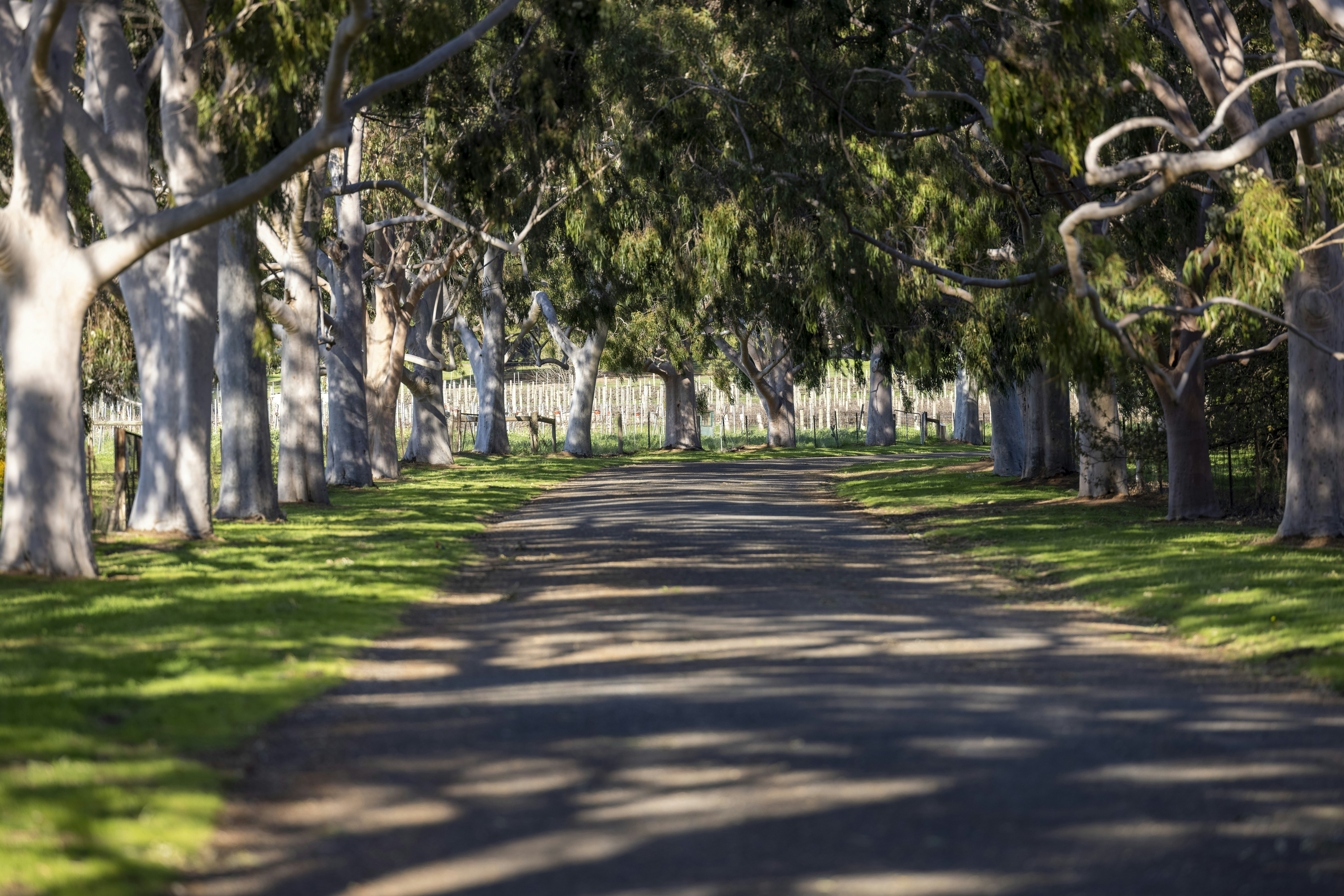 Photo by stephenmabbs