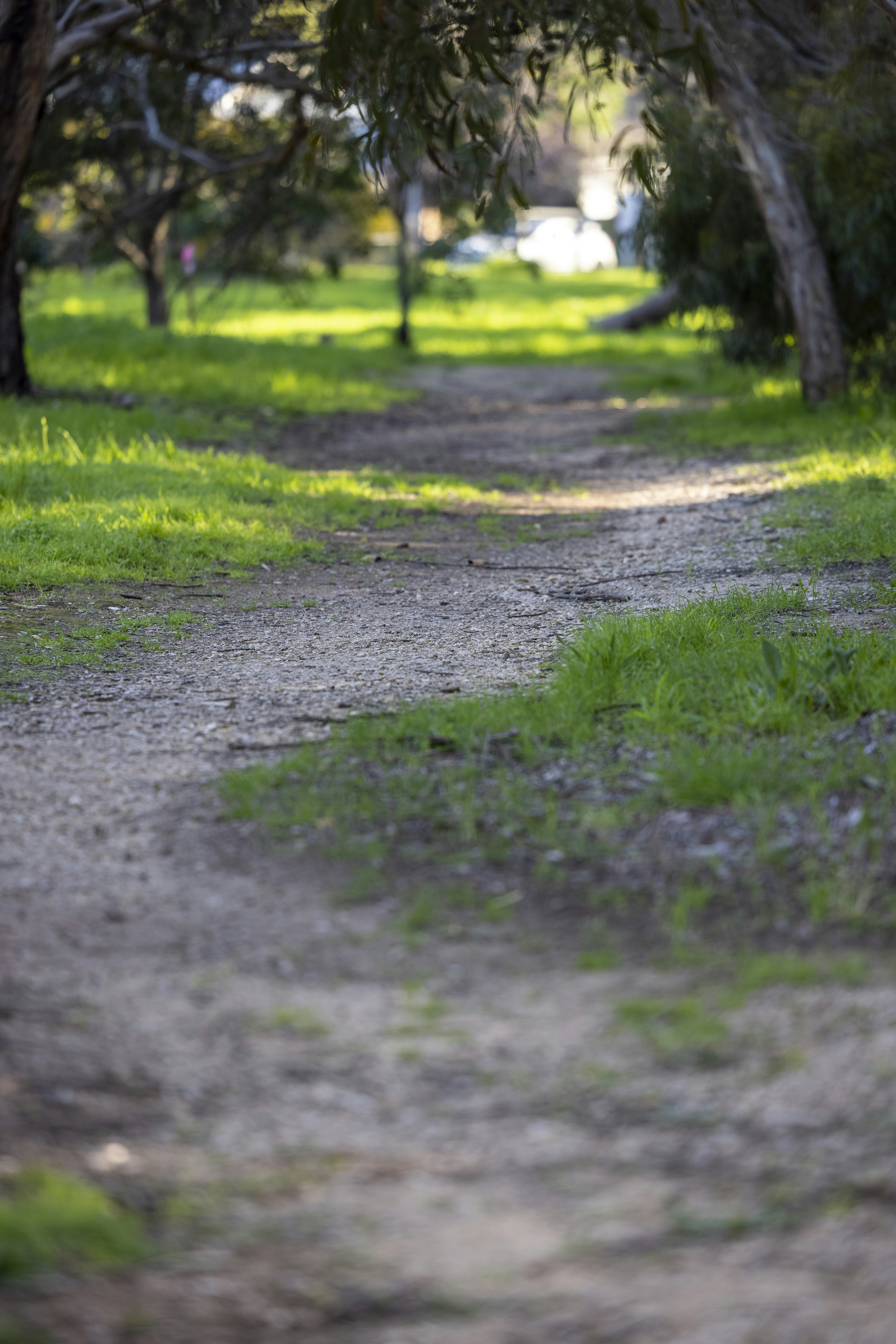 Photo by stephenmabbs