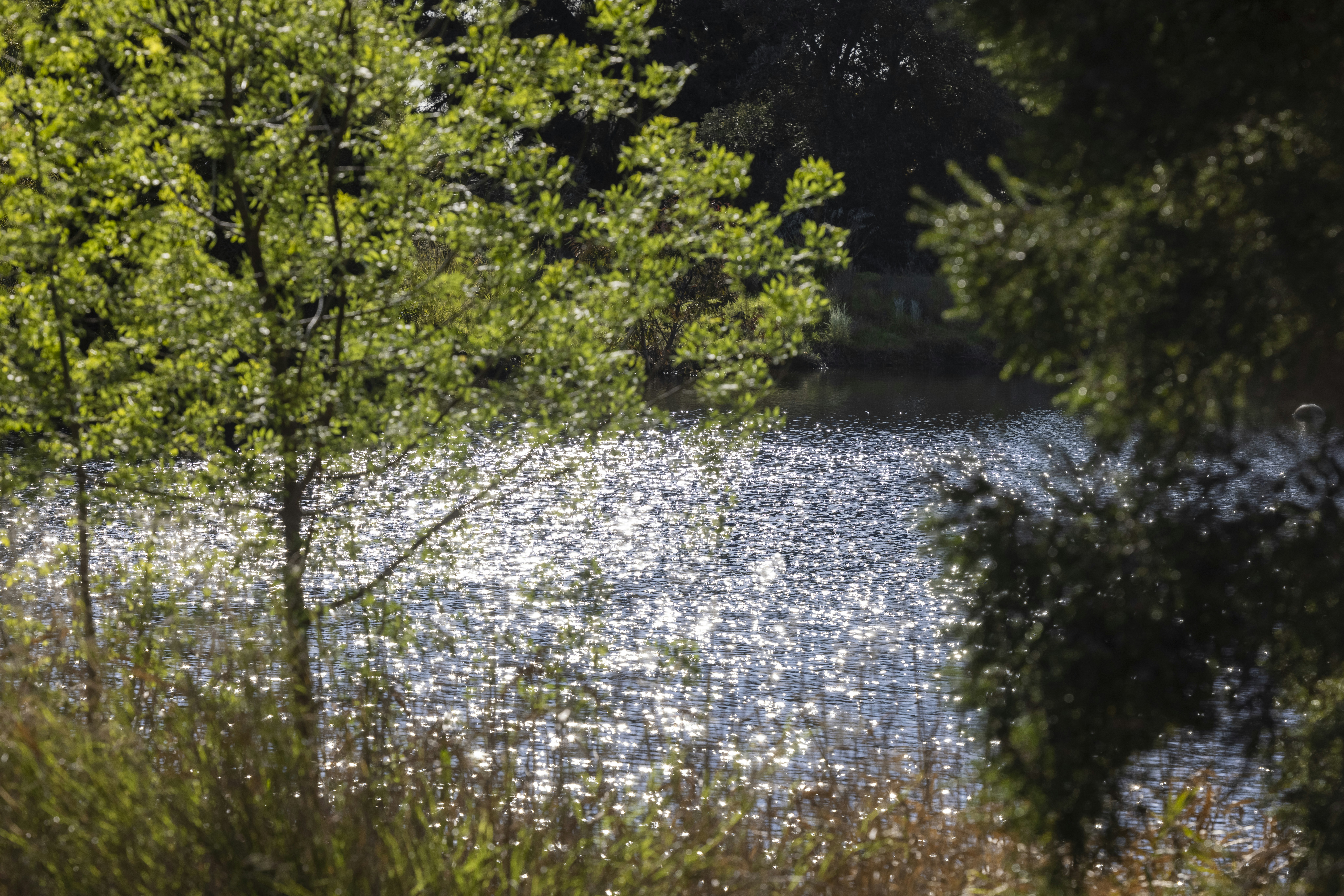 Photo by stephenmabbs