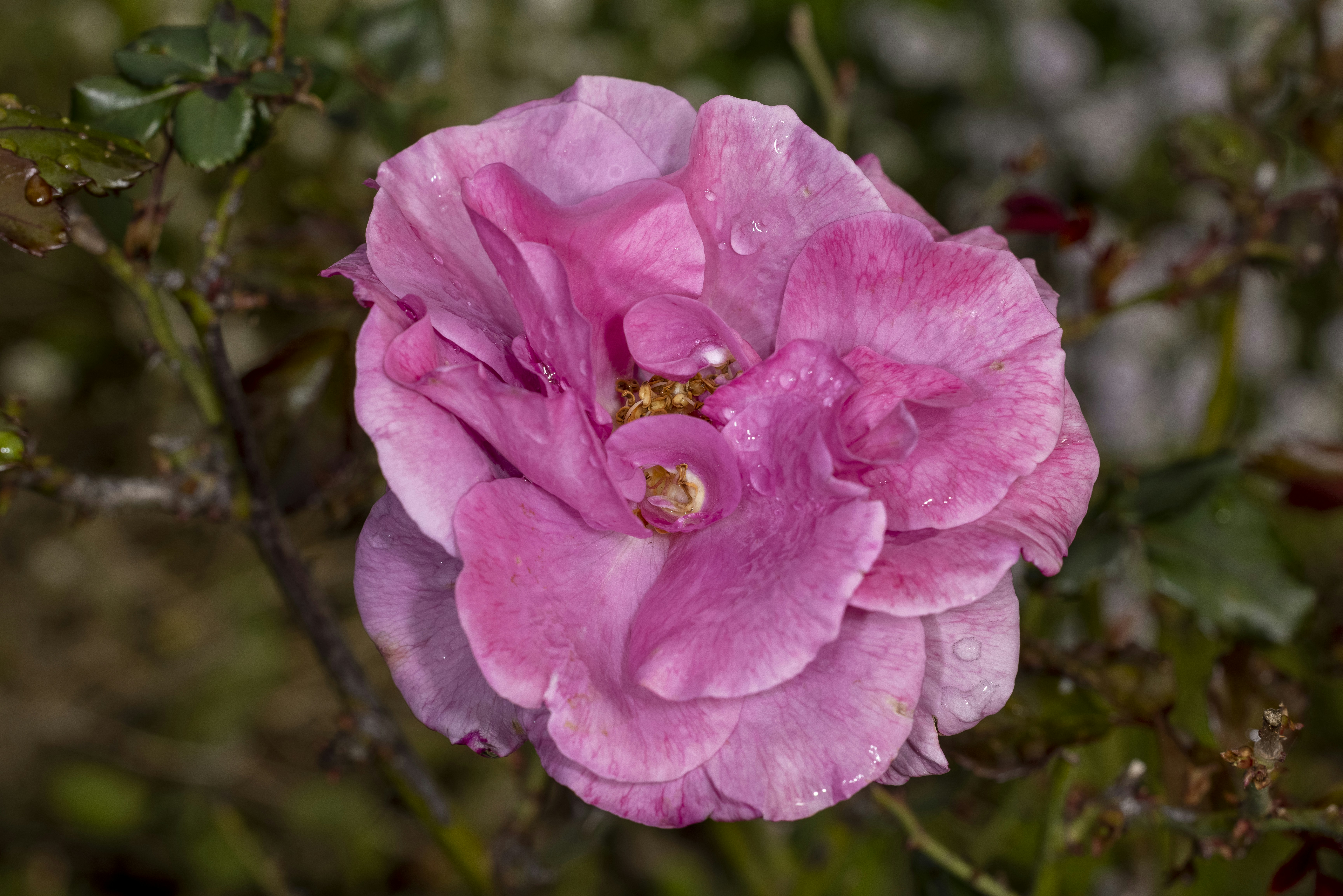 Photo by stephenmabbs