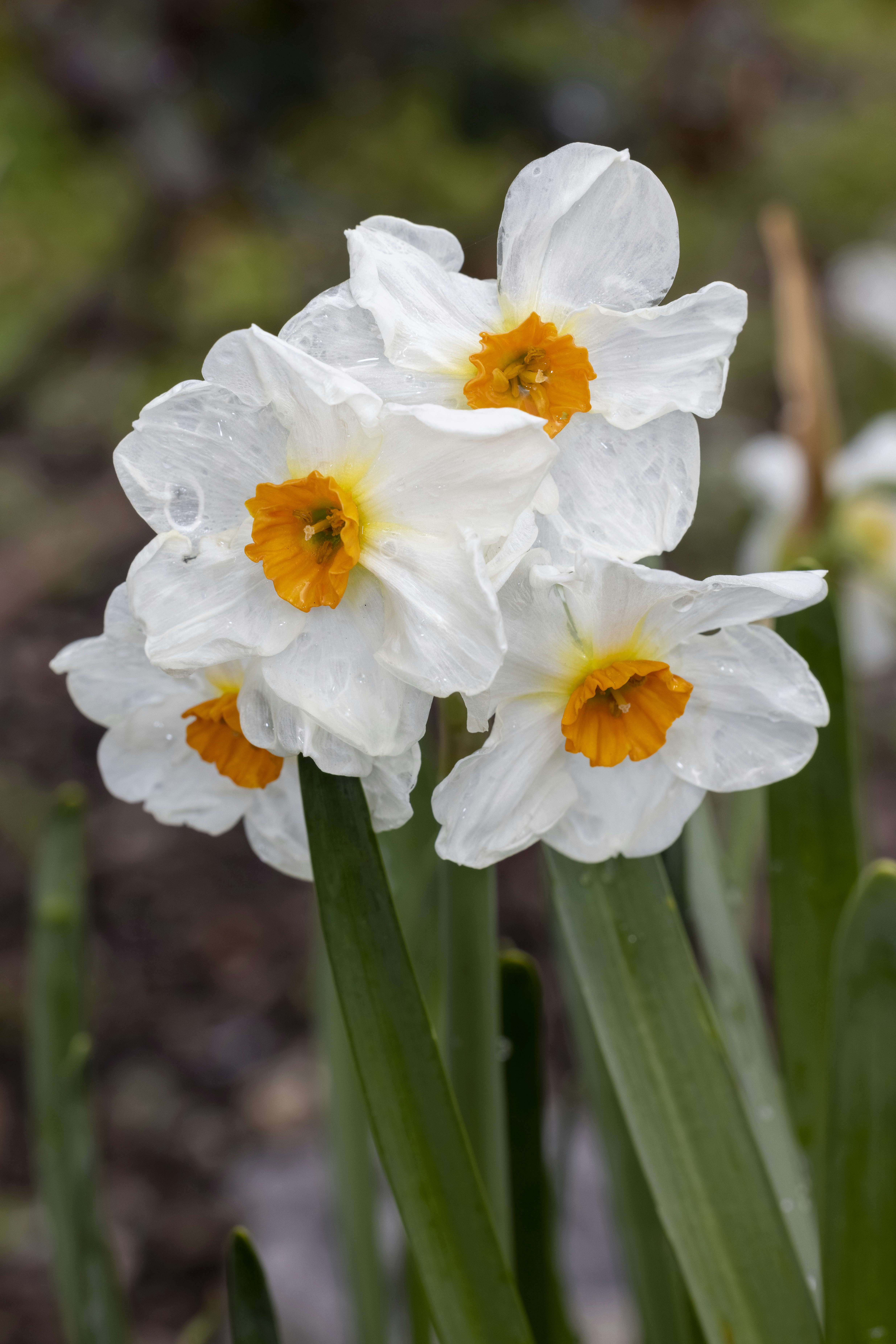 Photo by stephenmabbs