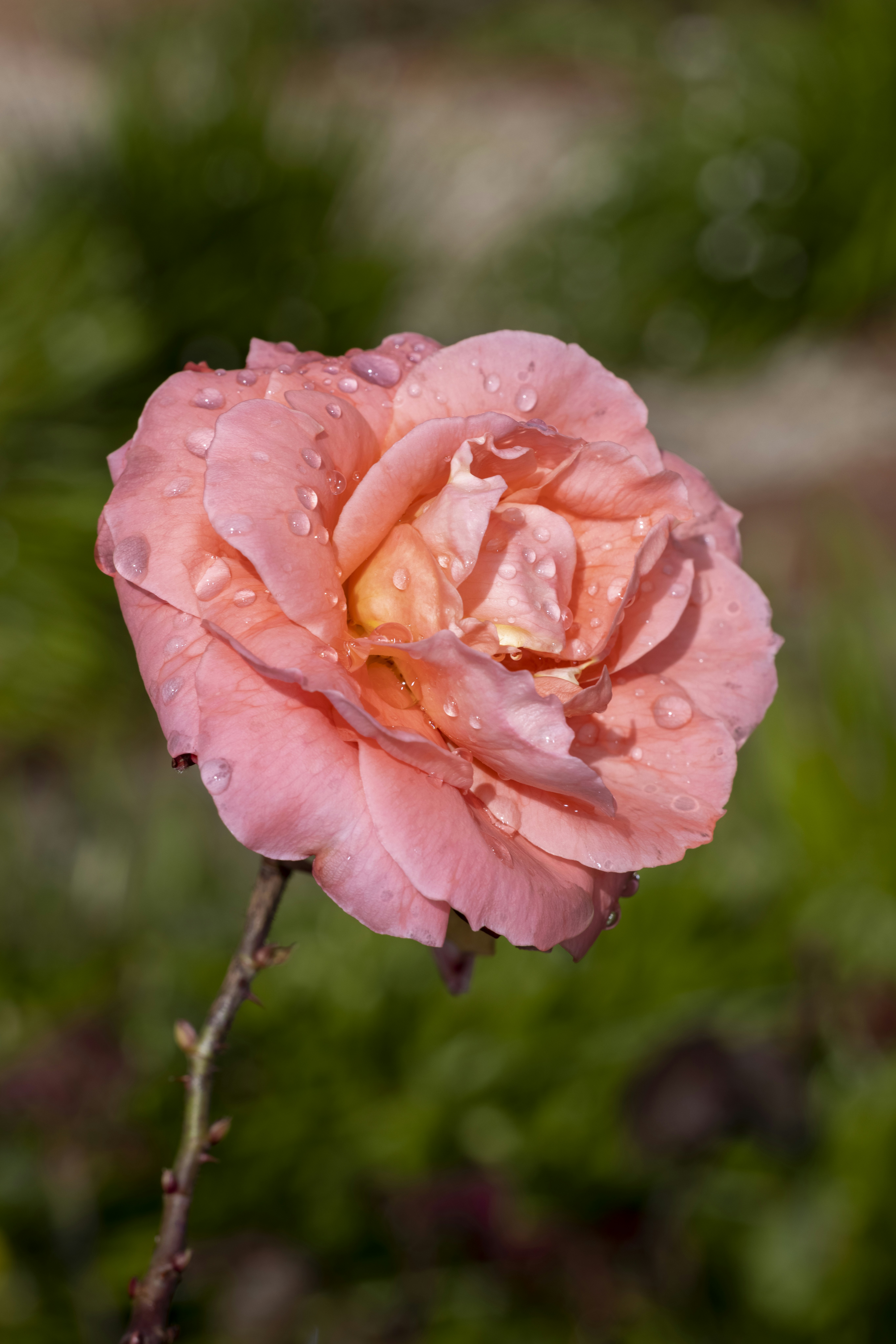 Photo by stephenmabbs