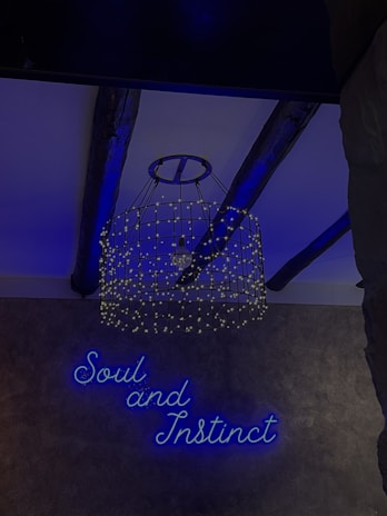 An artistic decorative setup features a wireframe chandelier adorned with small lights, hanging from a ceiling with exposed dark wooden beams. Below it, the phrase 'Soul and Instinct' is illuminated with blue neon lights on a textured, dark wall.