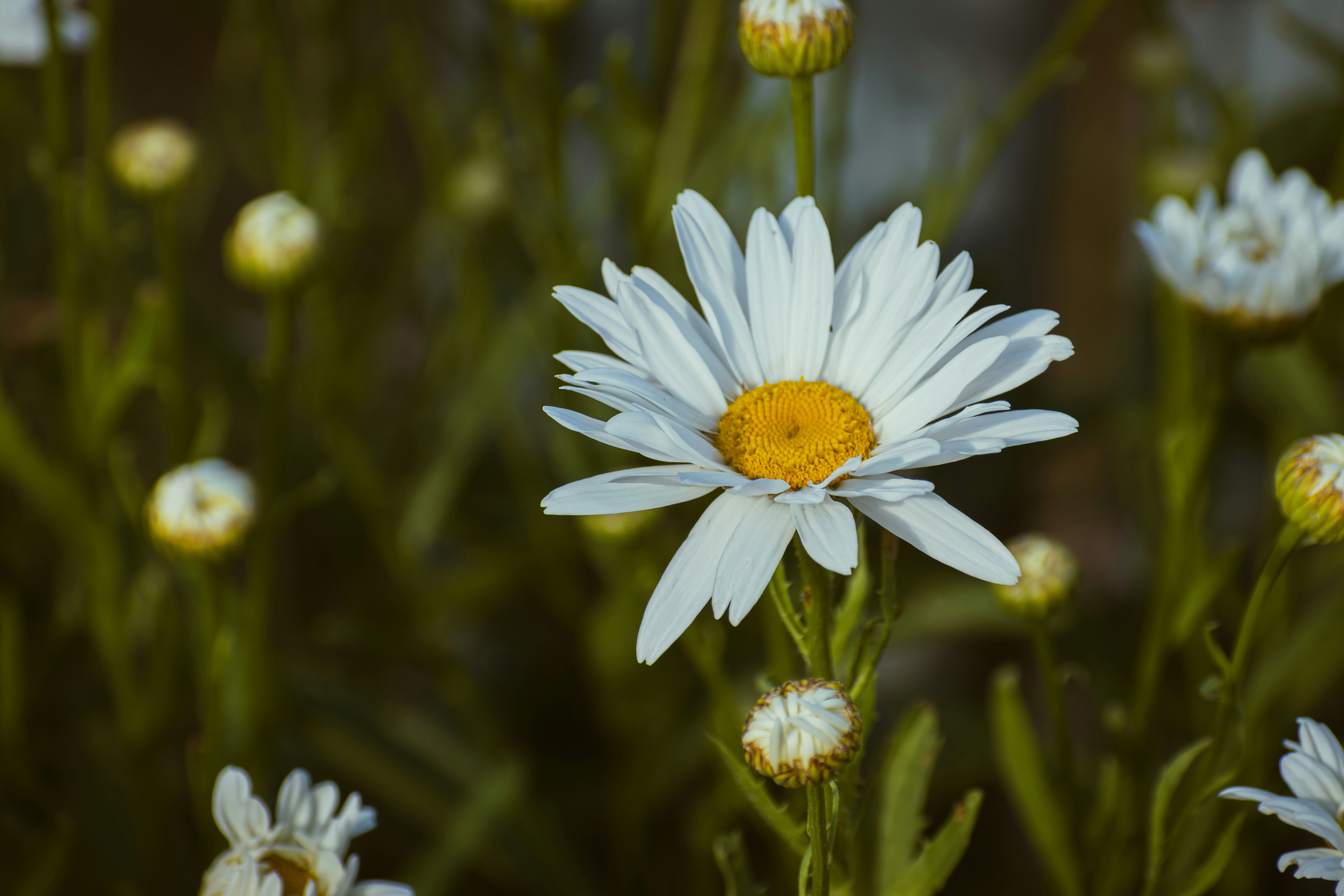 Photo by niki_emmert