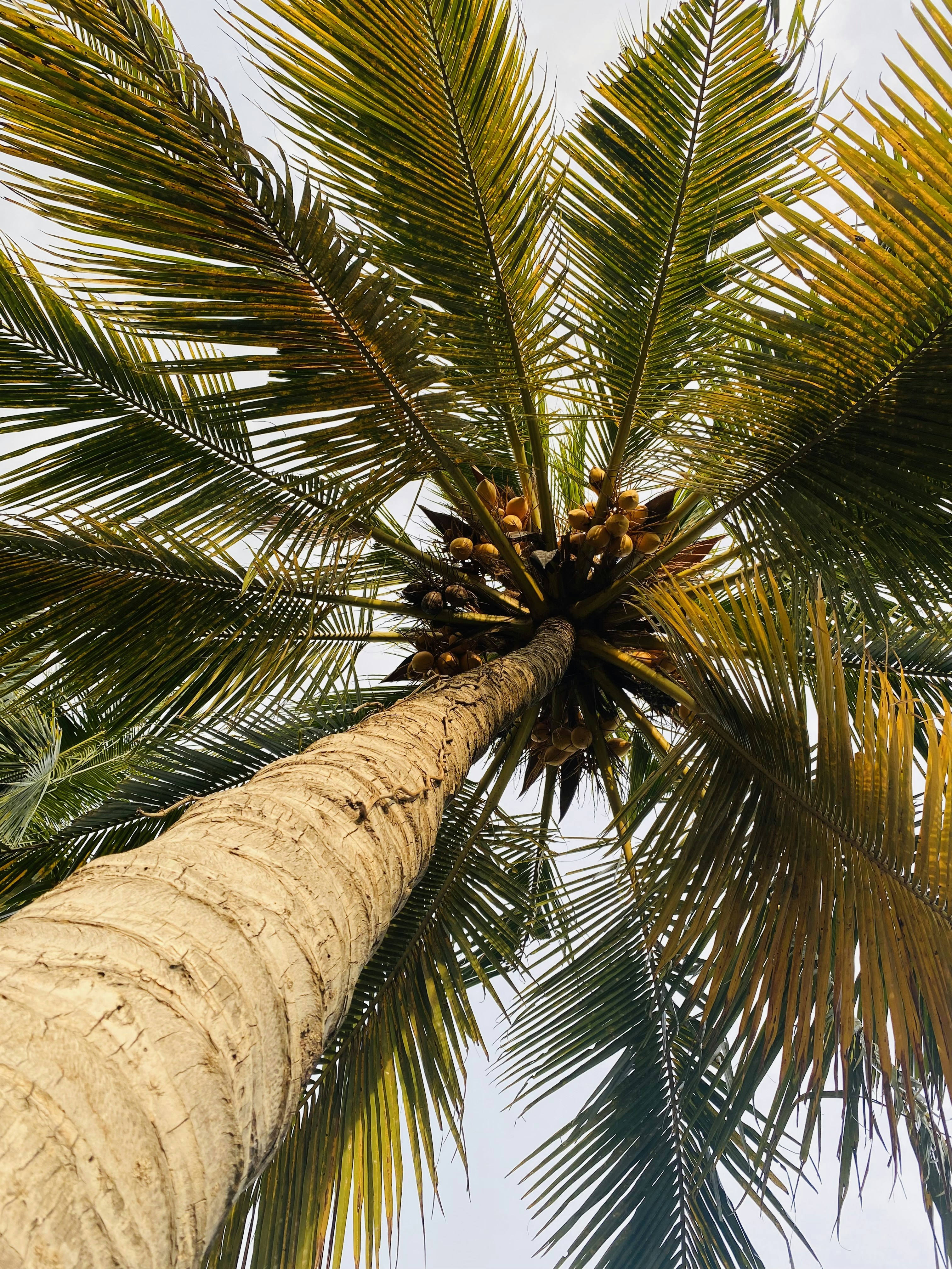 Photo by sachinchalaka