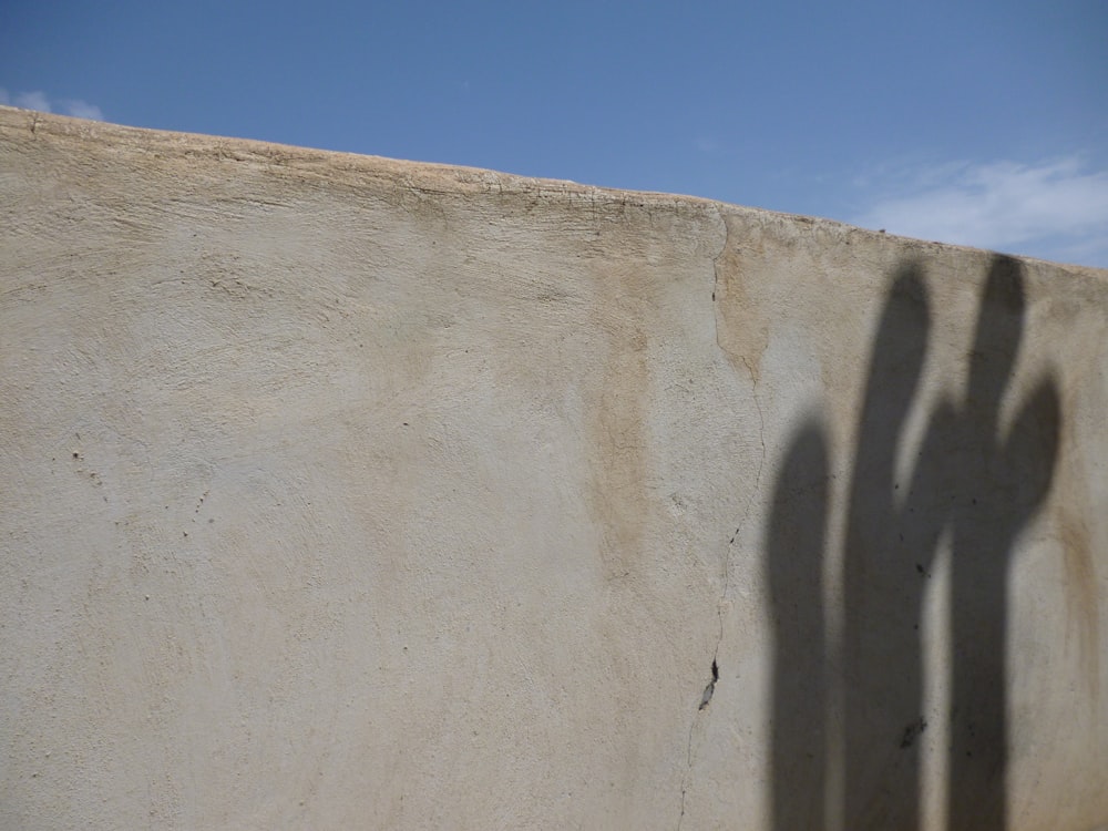 a shadow of two people on a wall