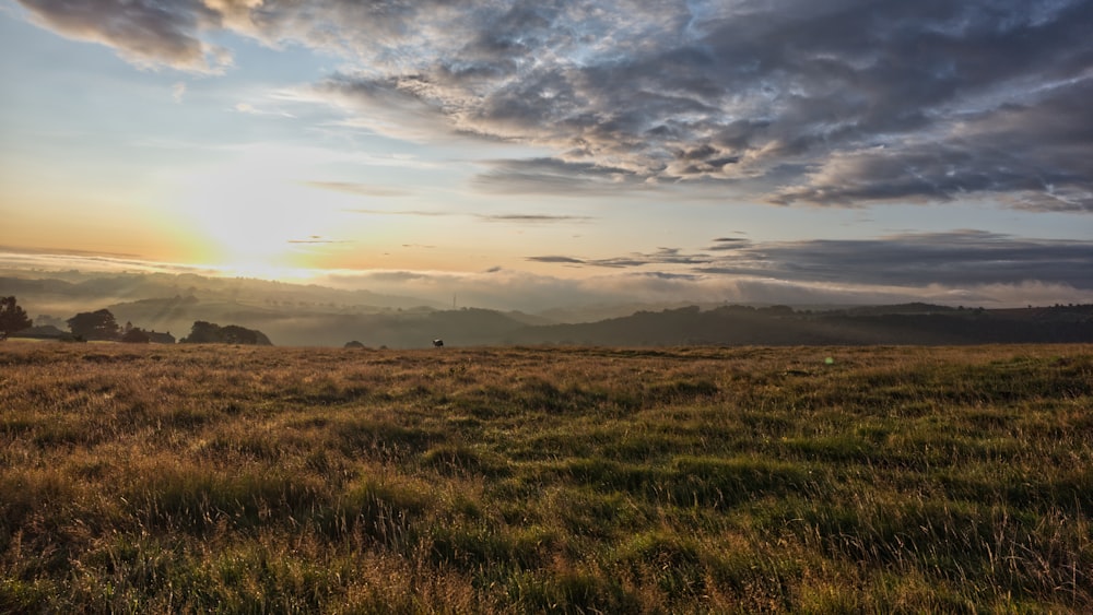 the sun is setting over a grassy field