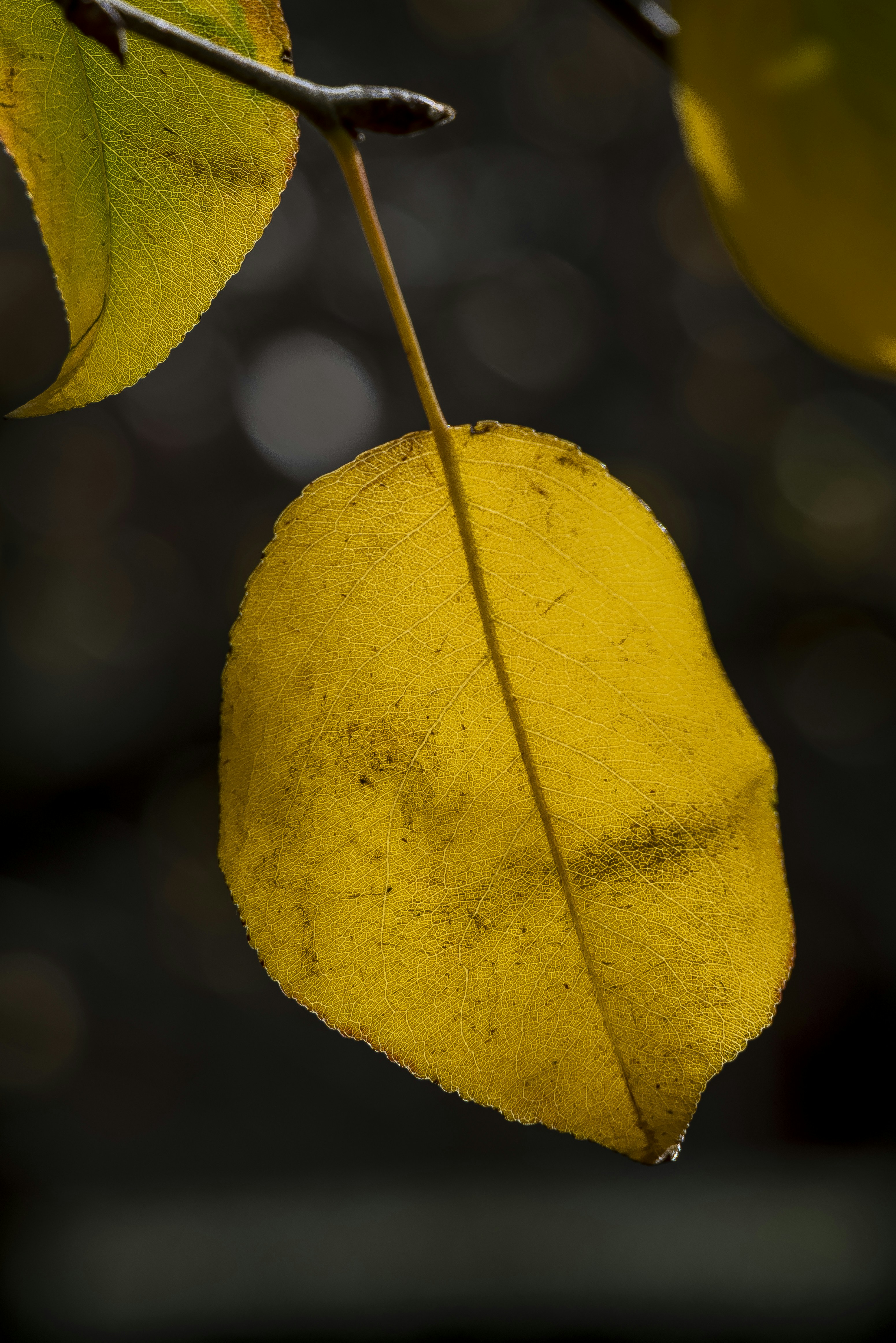 Photo by stephenmabbs