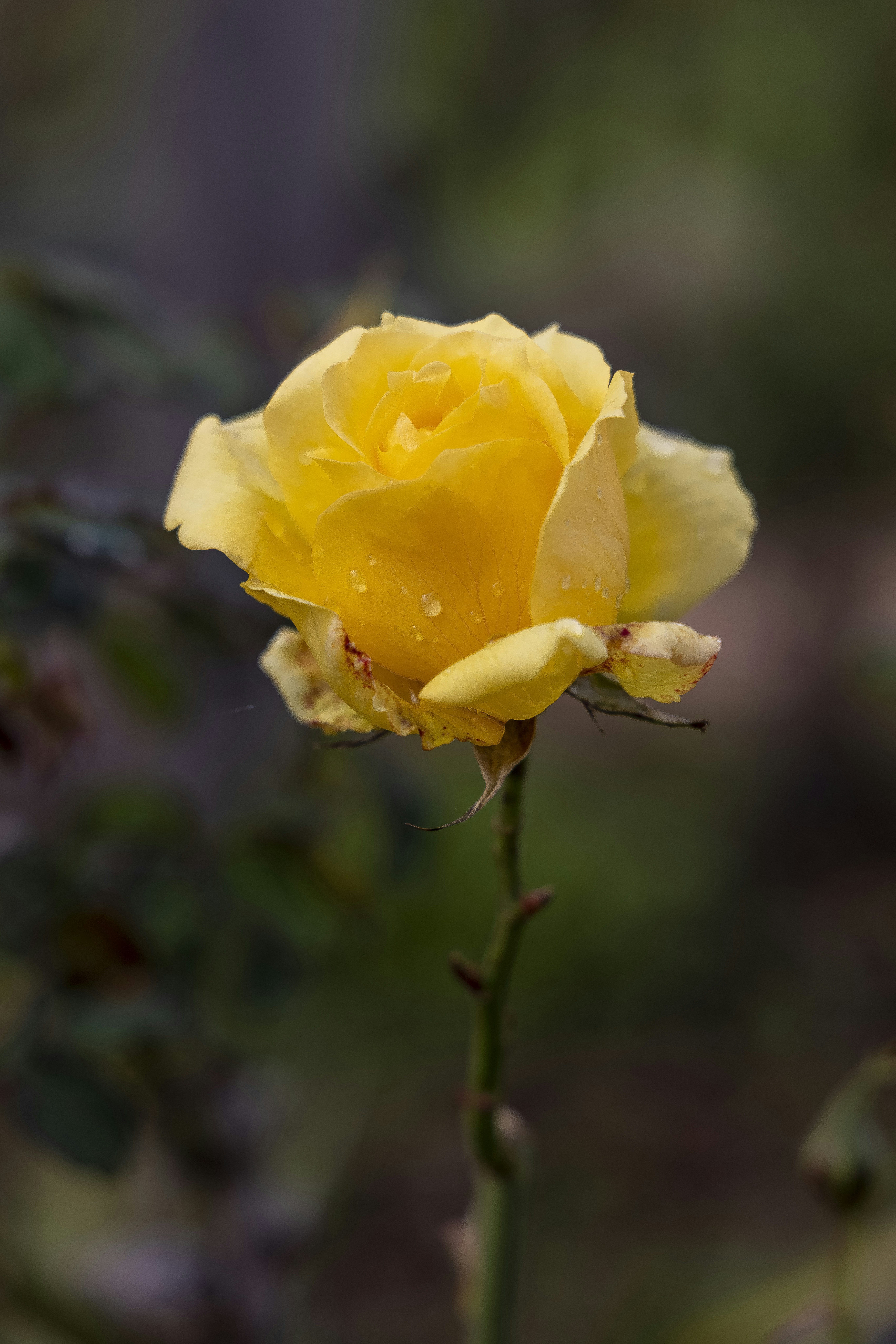 Photo by stephenmabbs