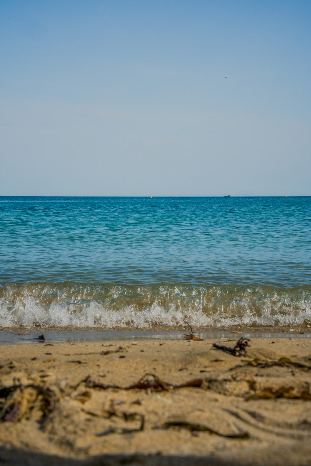 uma vista para o oceano a partir de uma praia de areia