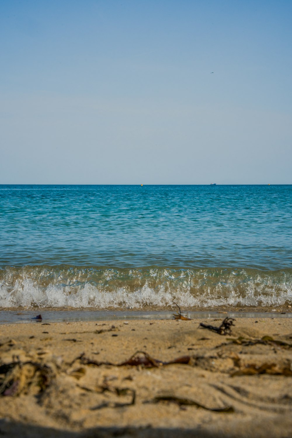 a view of the ocean from a sandy beach